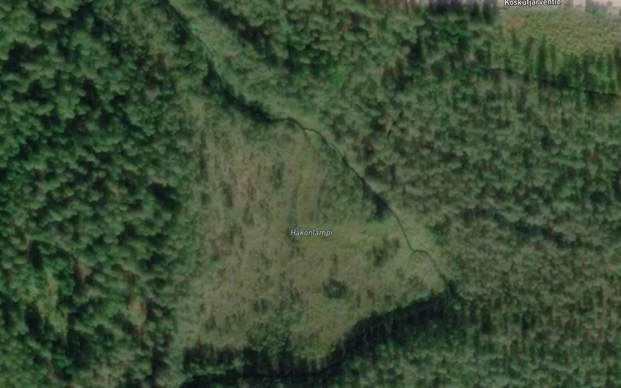 Hakolampi