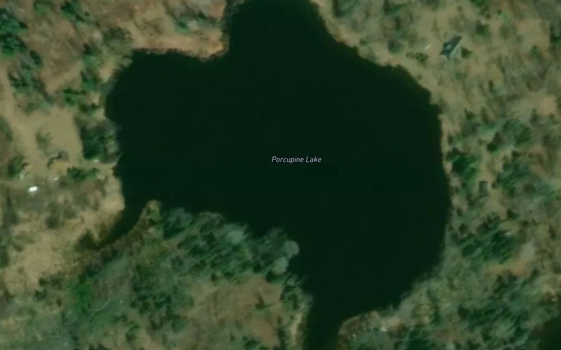 Satellite map of the Porcupine Lake