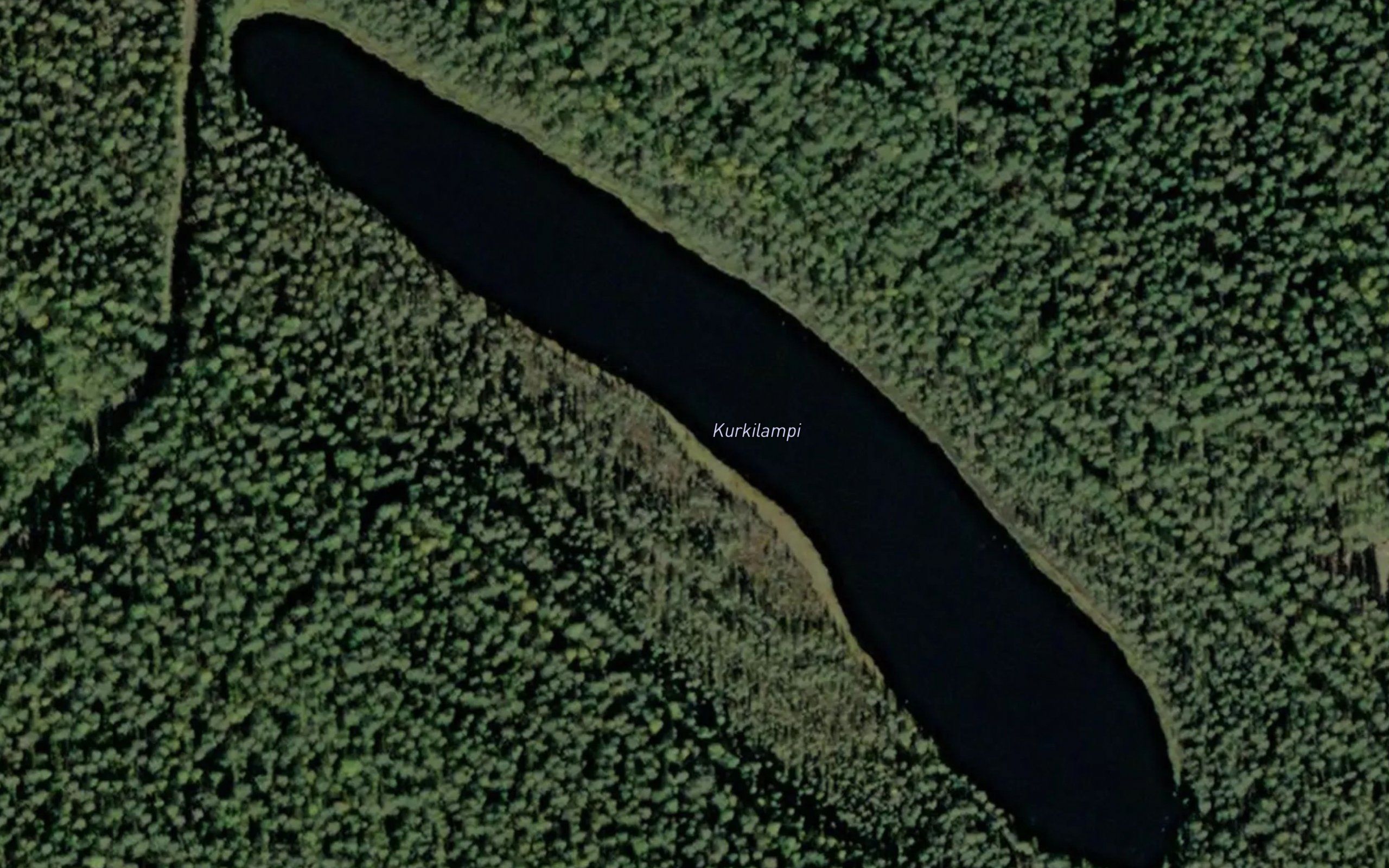Kurkilampi
