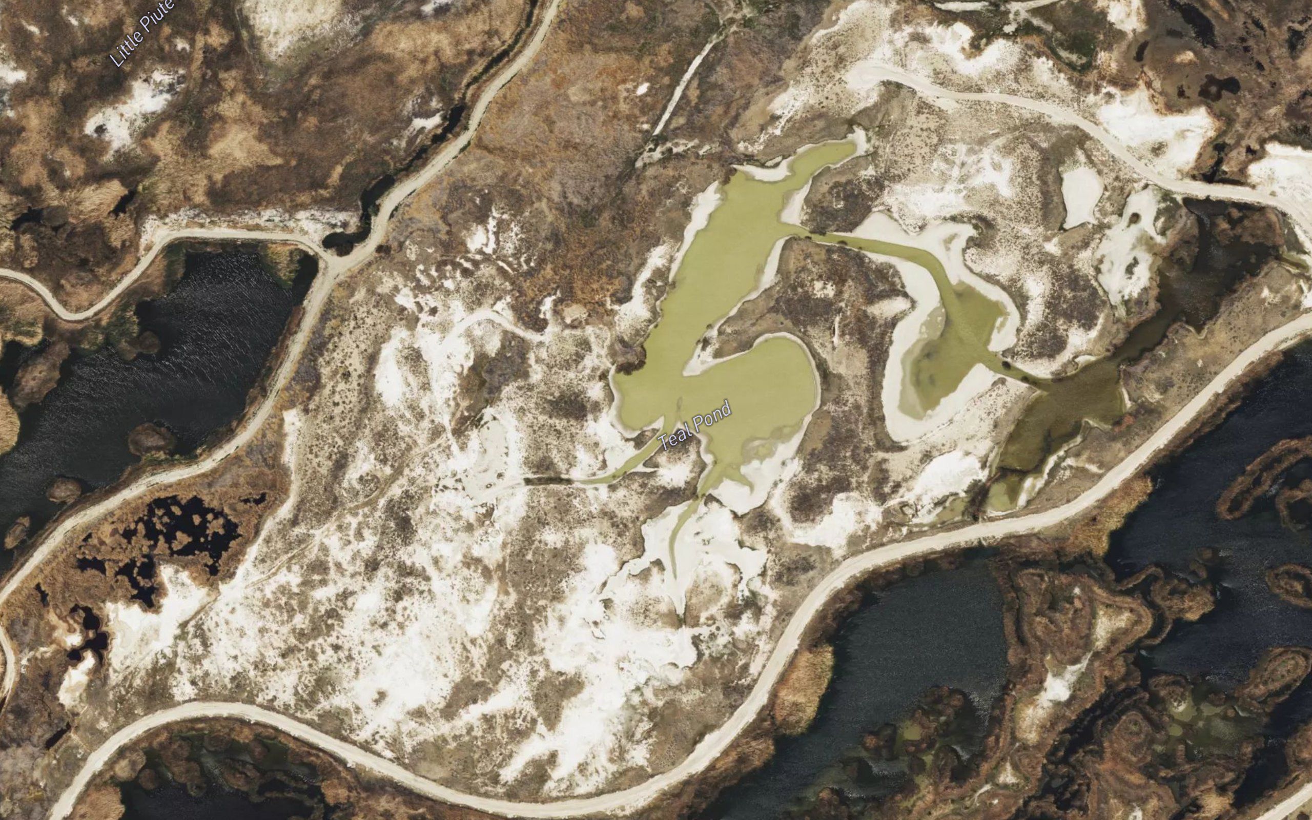 Teal Pond