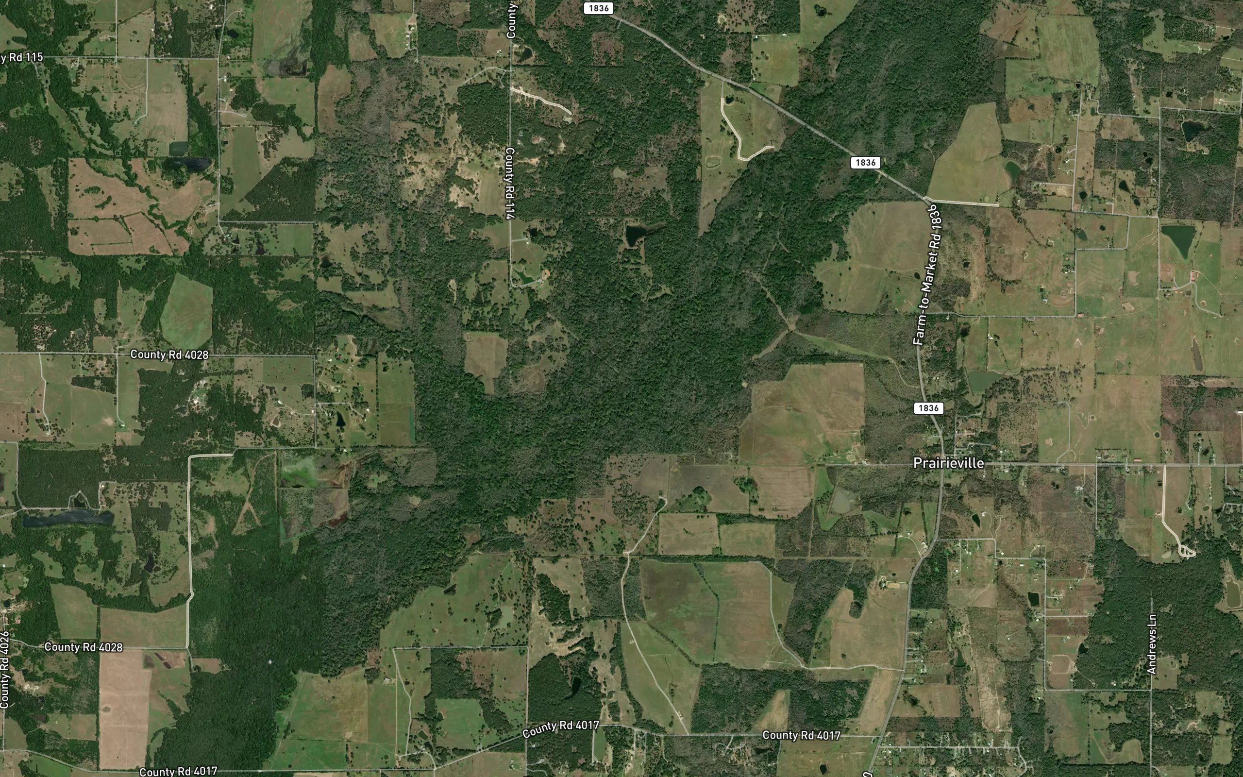 Williams Creek