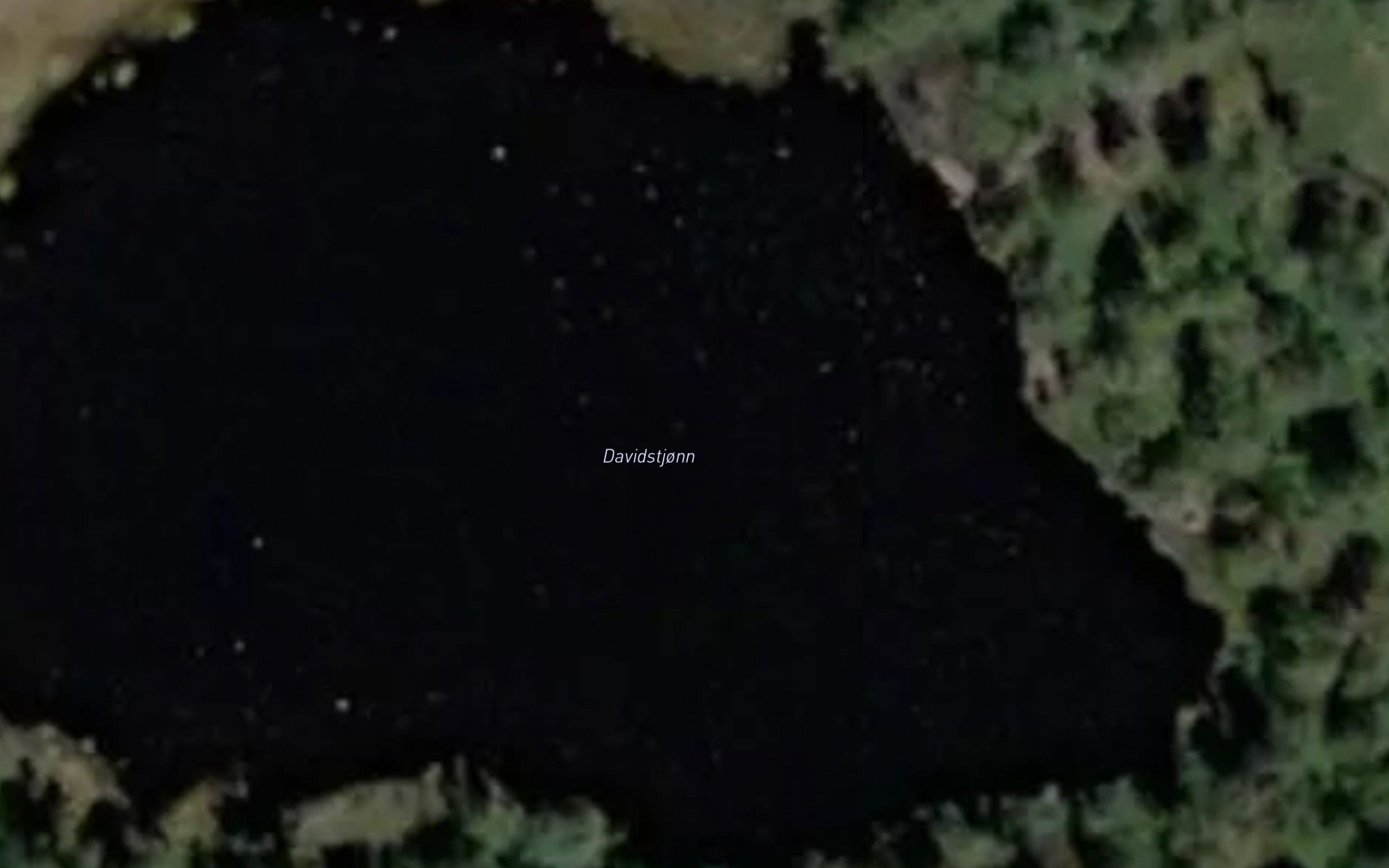 Davidstjorn
