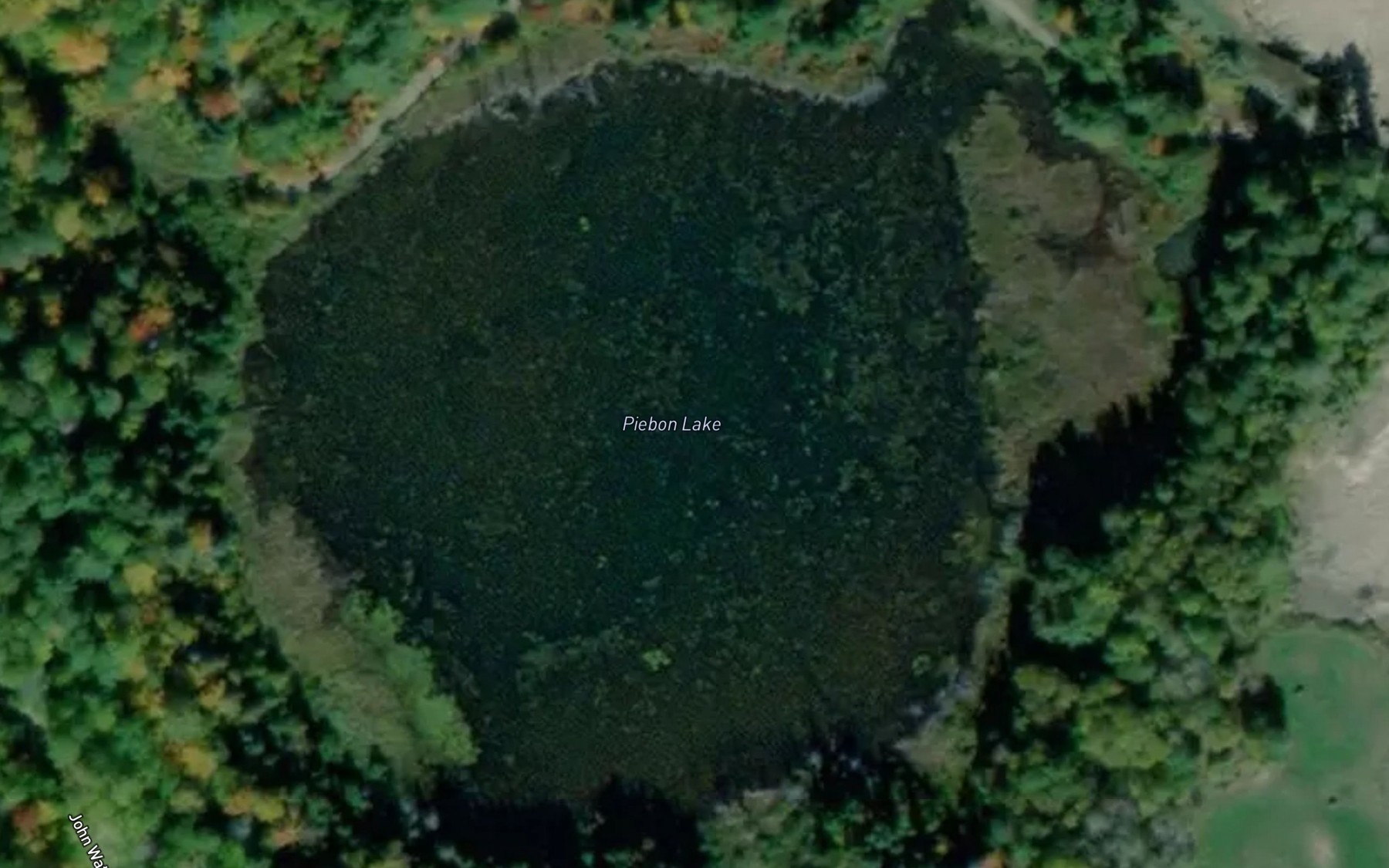 Satellite map of the Plebon Lake