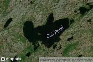Gull Pond