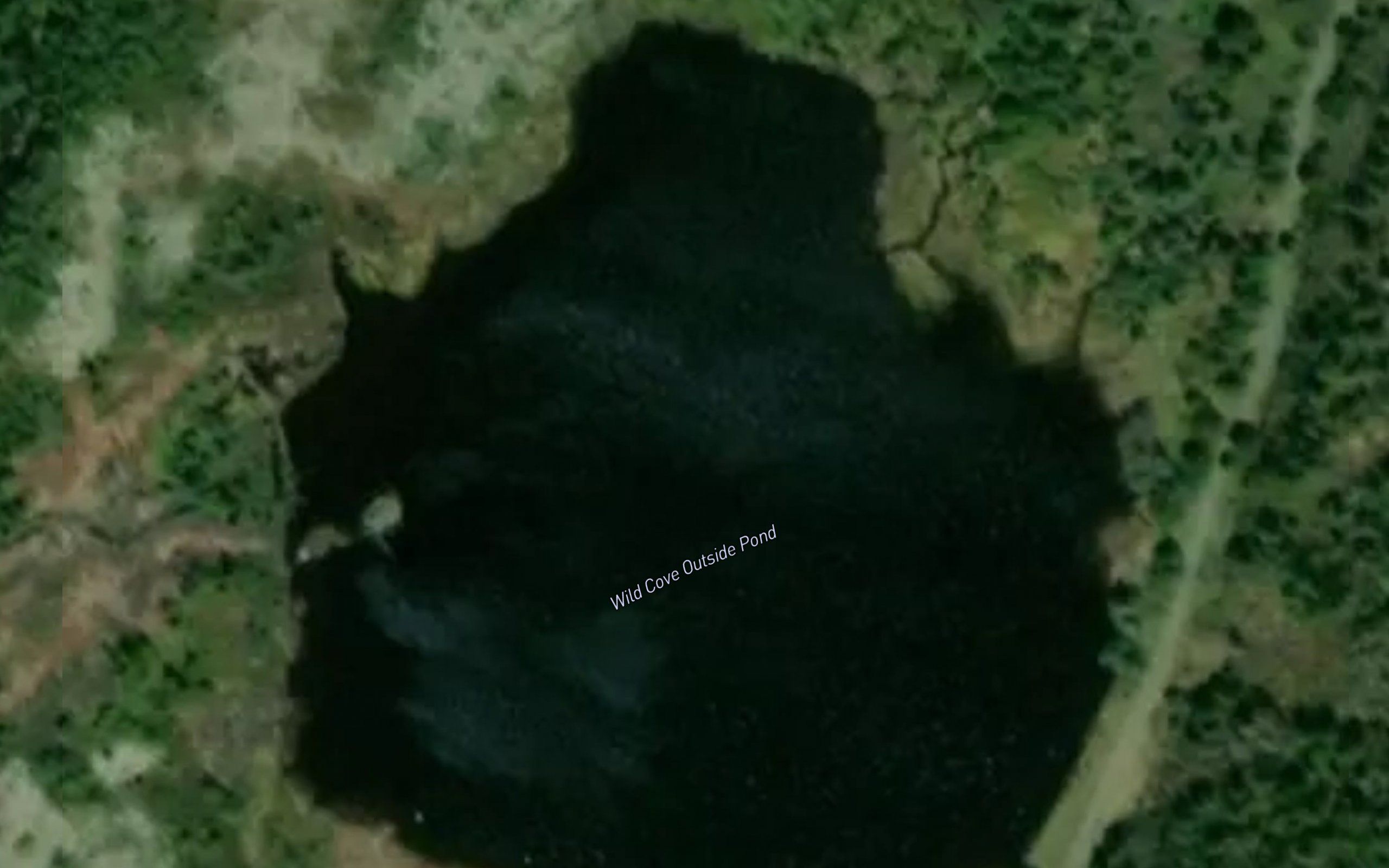Wild Cove Outside Pond