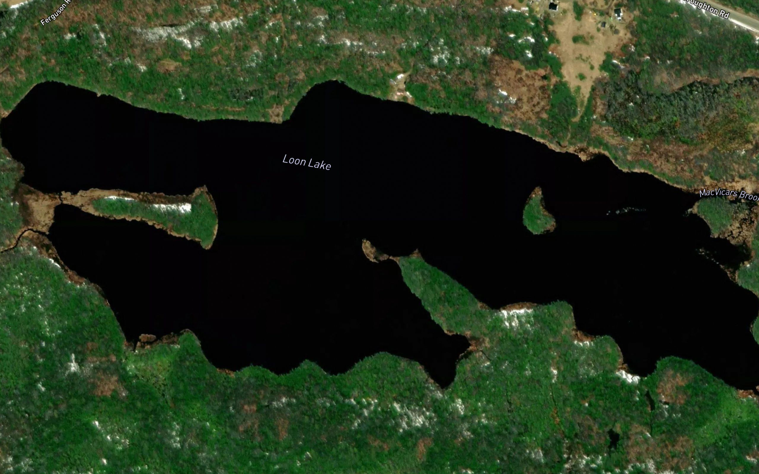Loon Lake