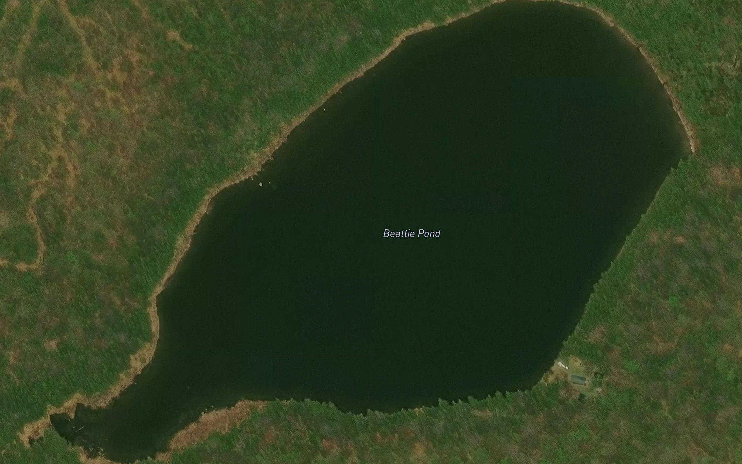Beattie Pond