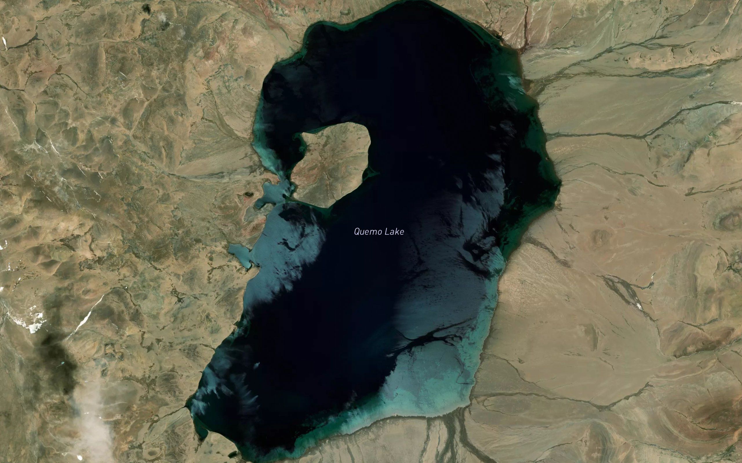 Qoima Co