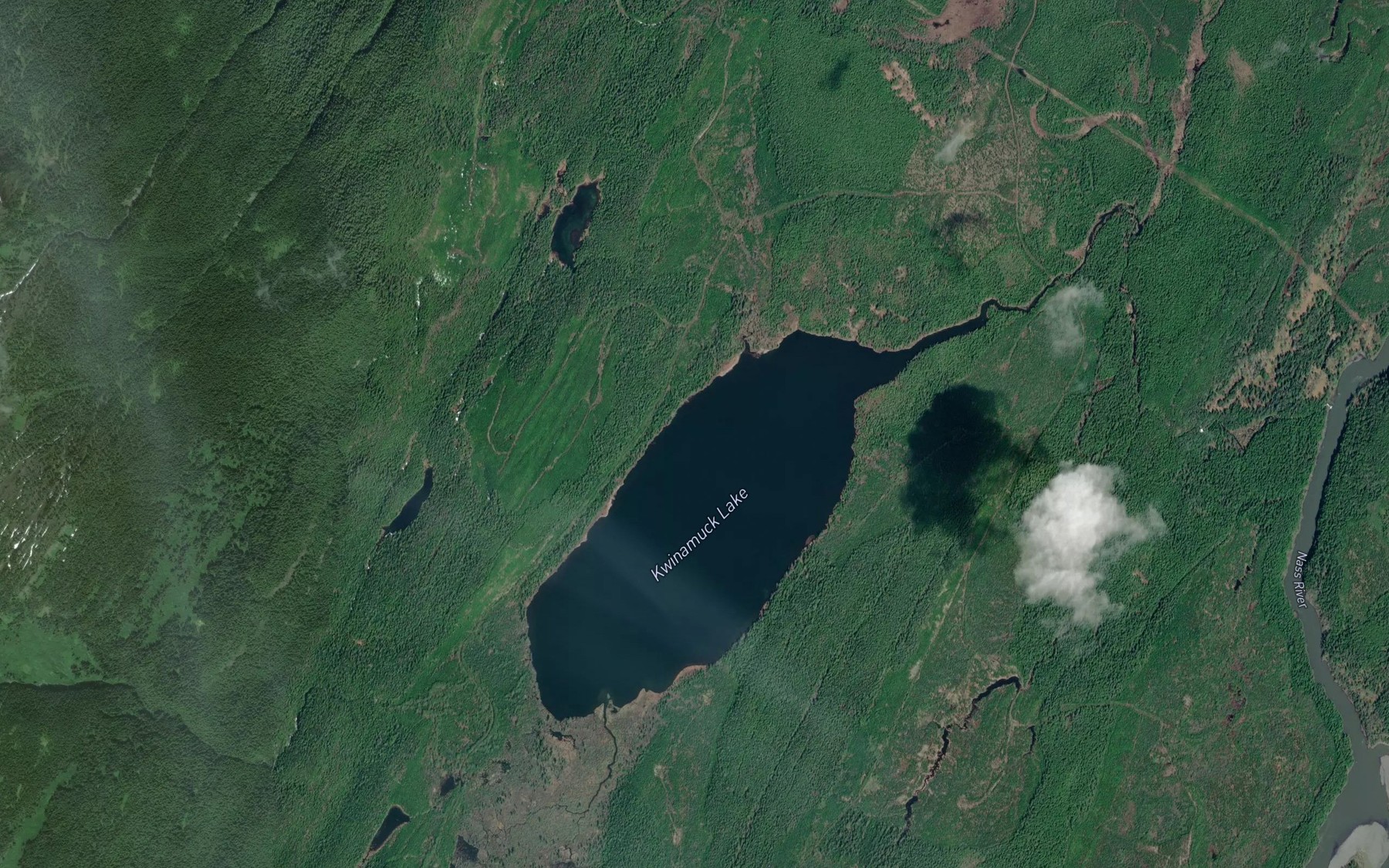Satellite map of the Maughlin Creek