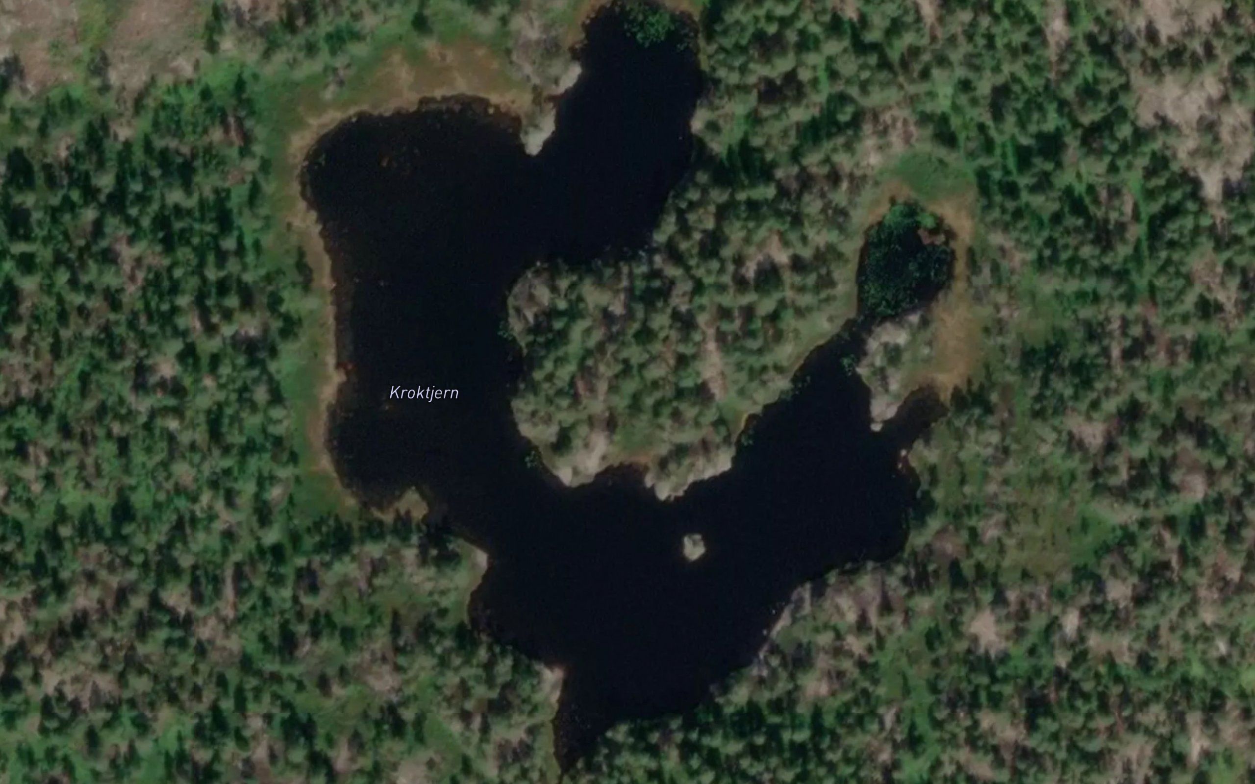 Kroktjern