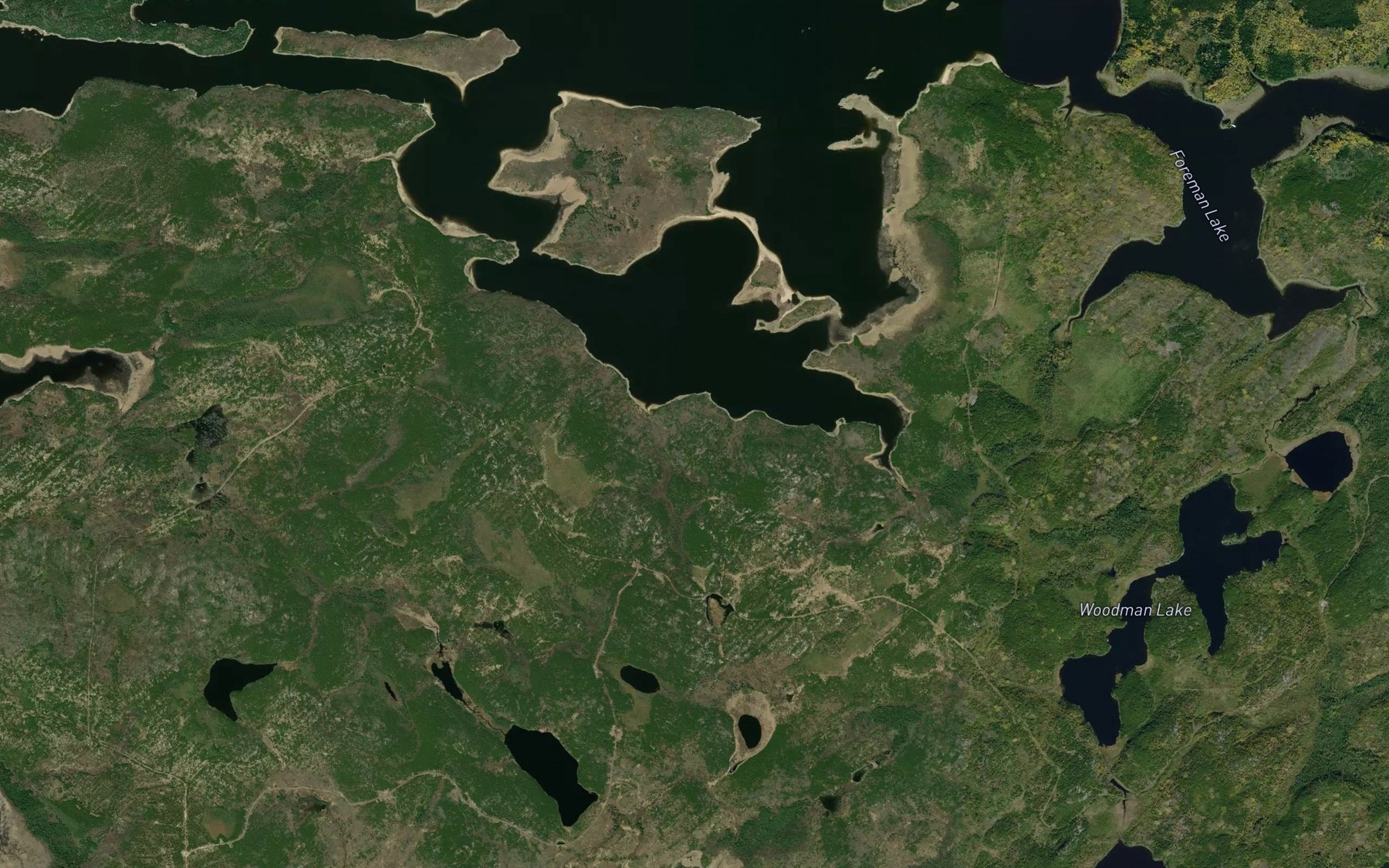 Satellite map of the Brechin Bay