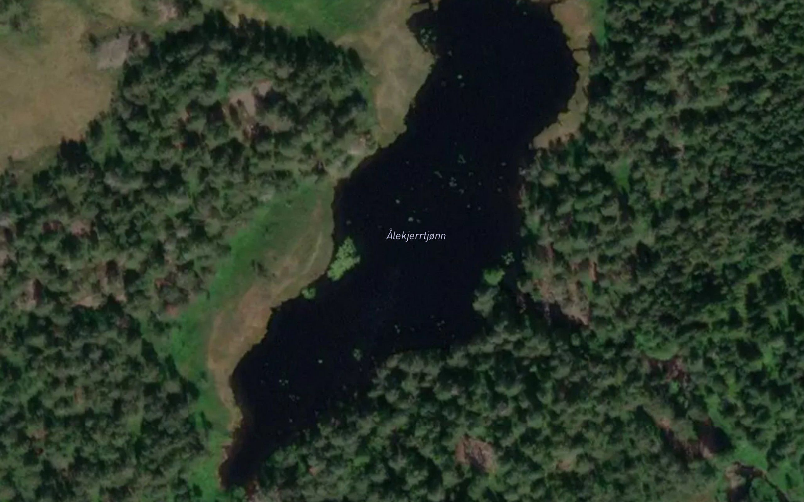 Alekjerrtjonn