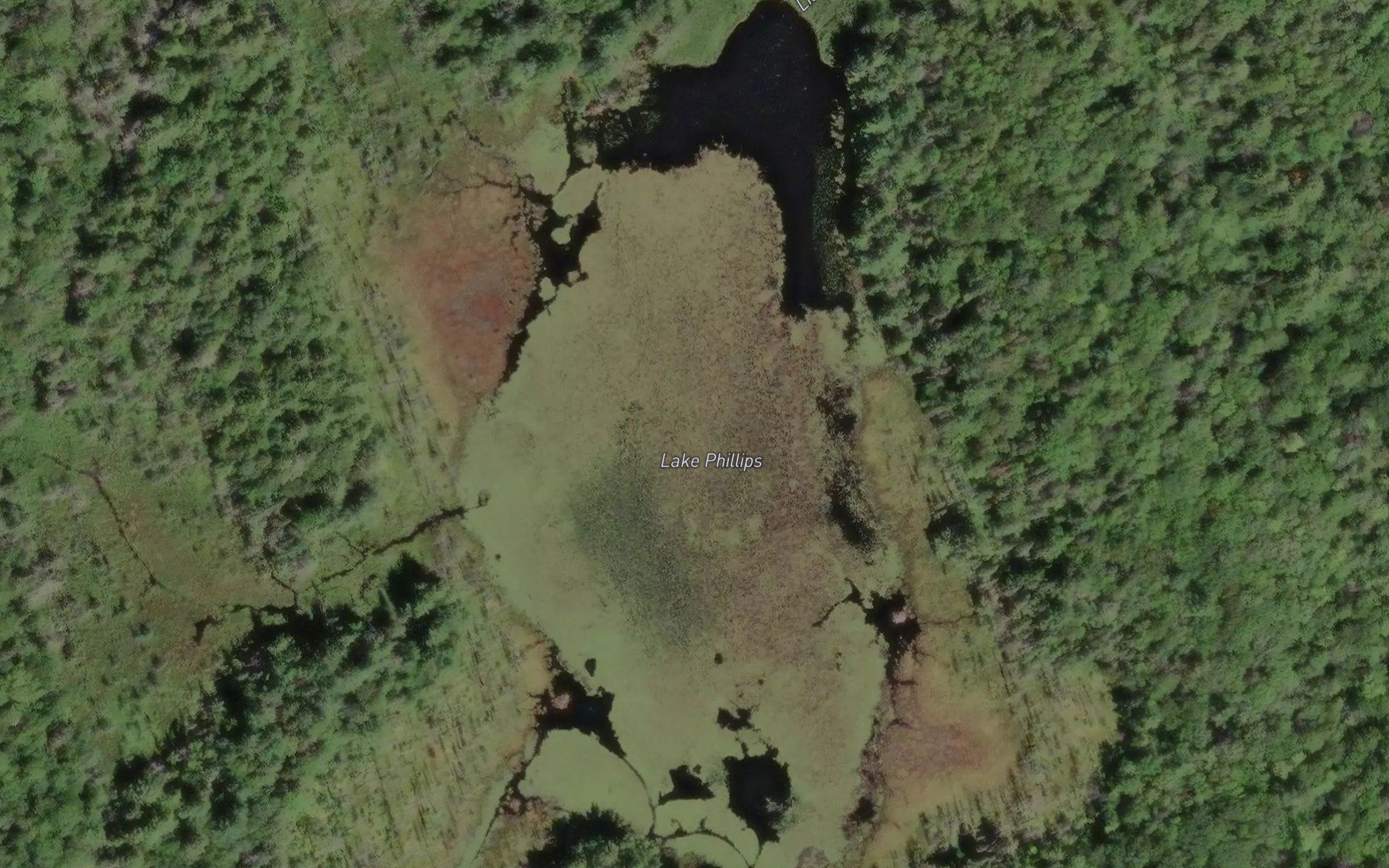 Lake Phillips
