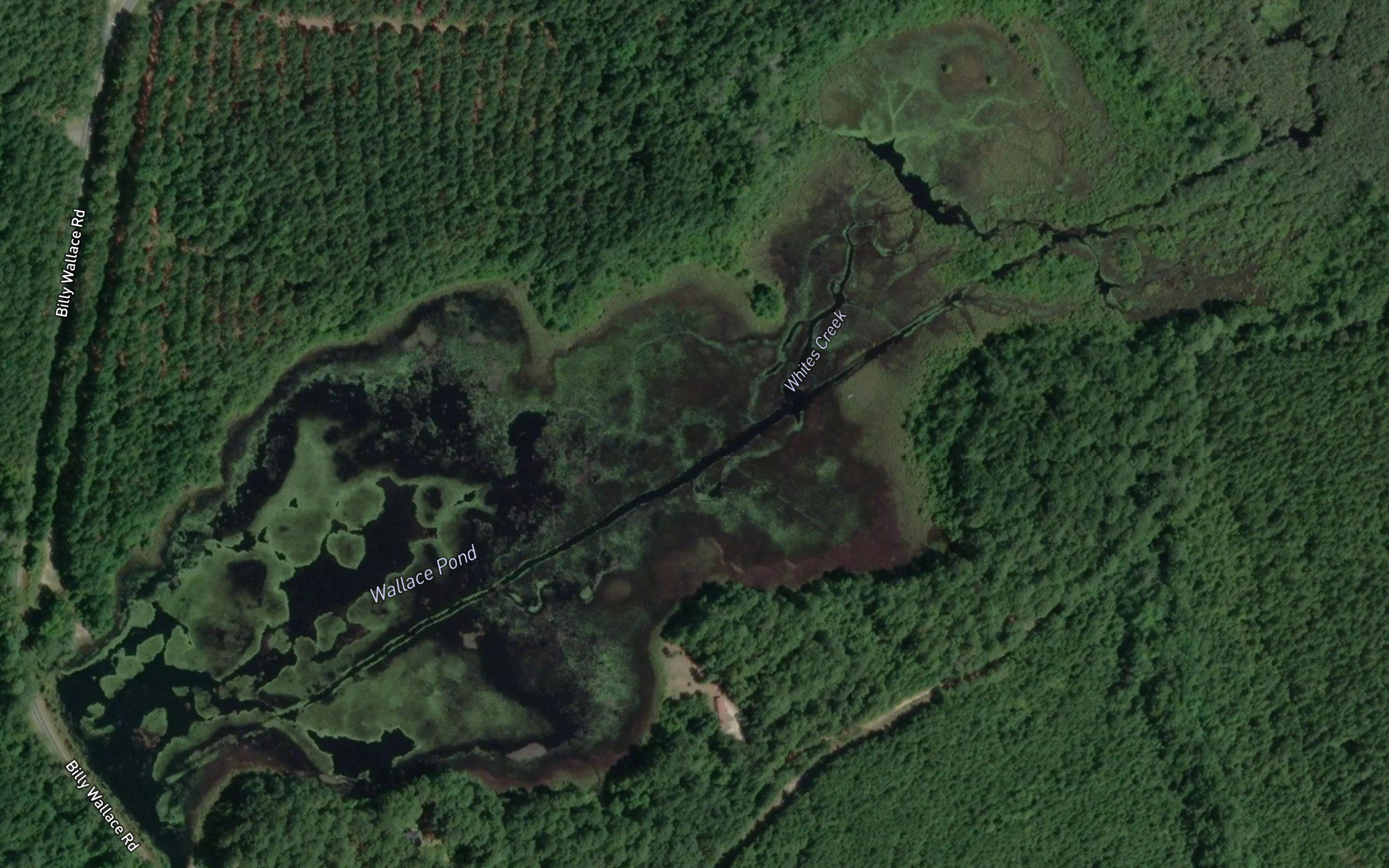 Wallace Pond