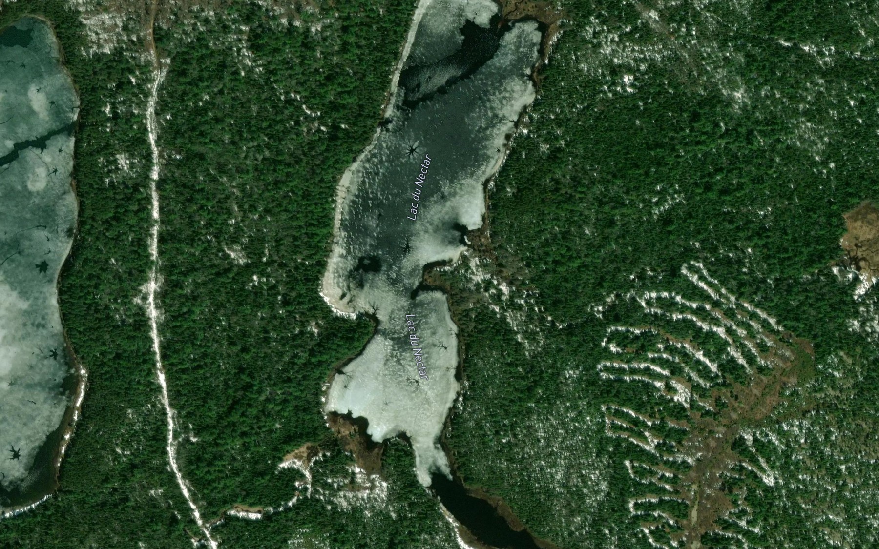 Satellite map of the Lac du Nectar