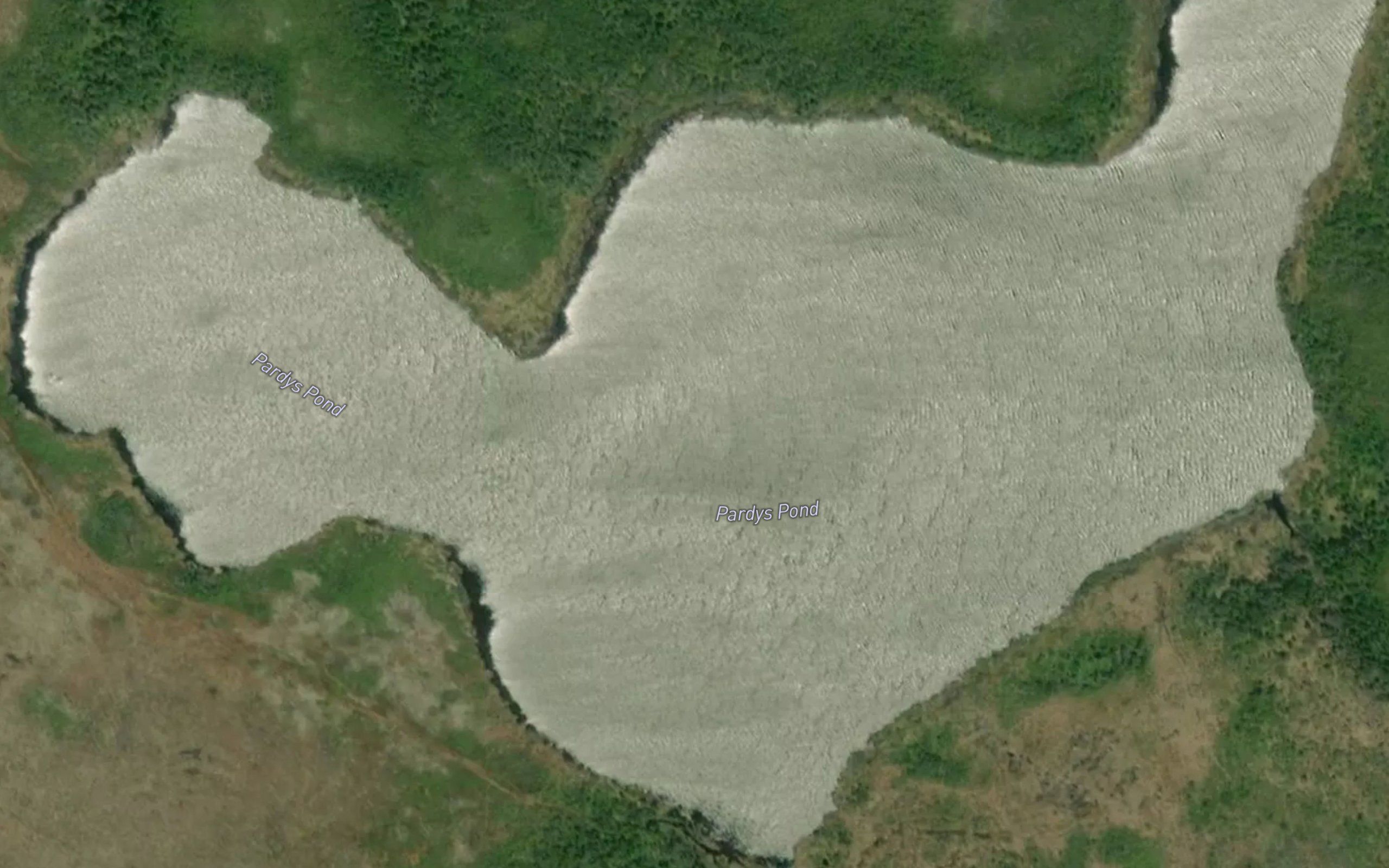 Pardys Pond