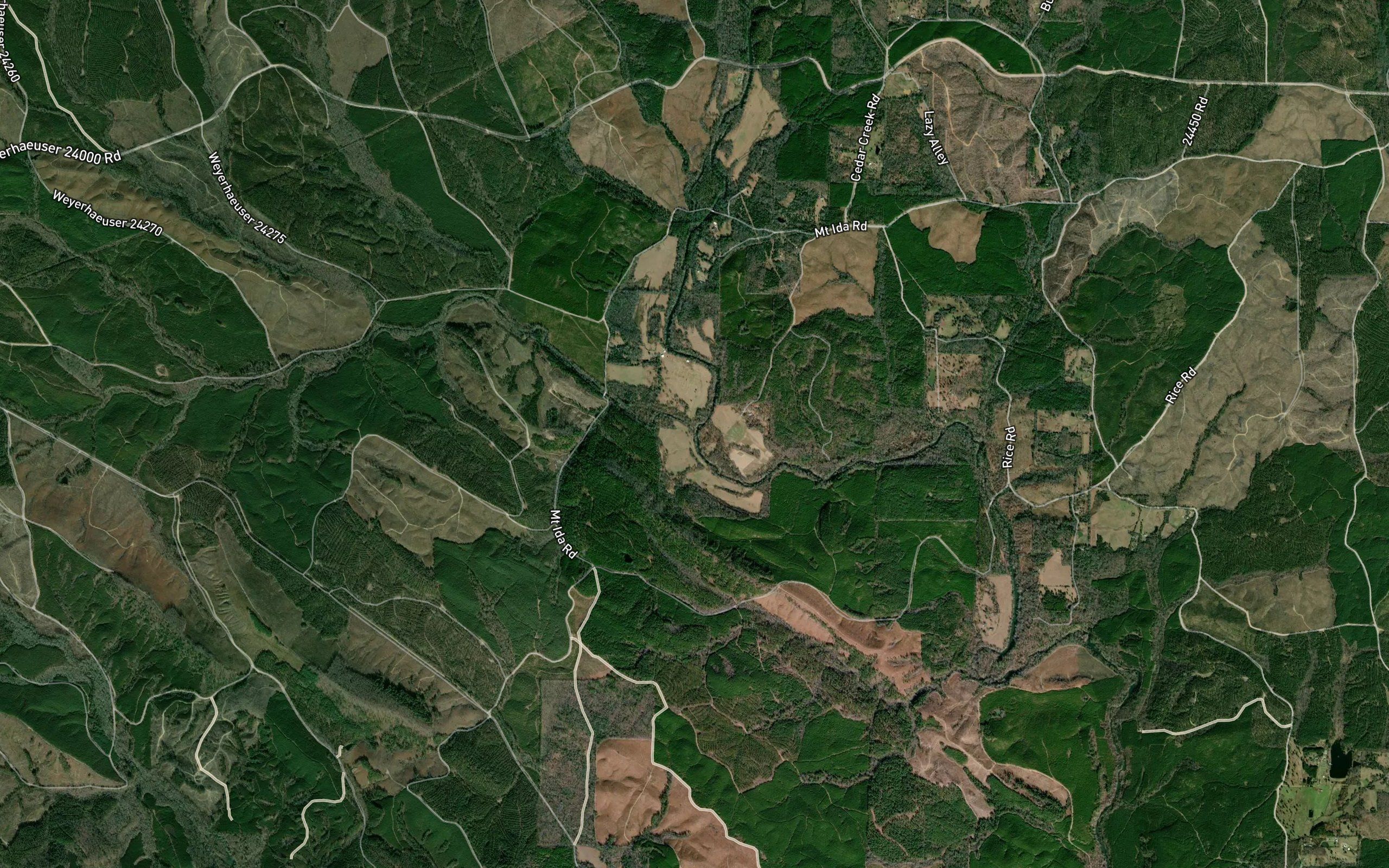 Little Alum Fork
