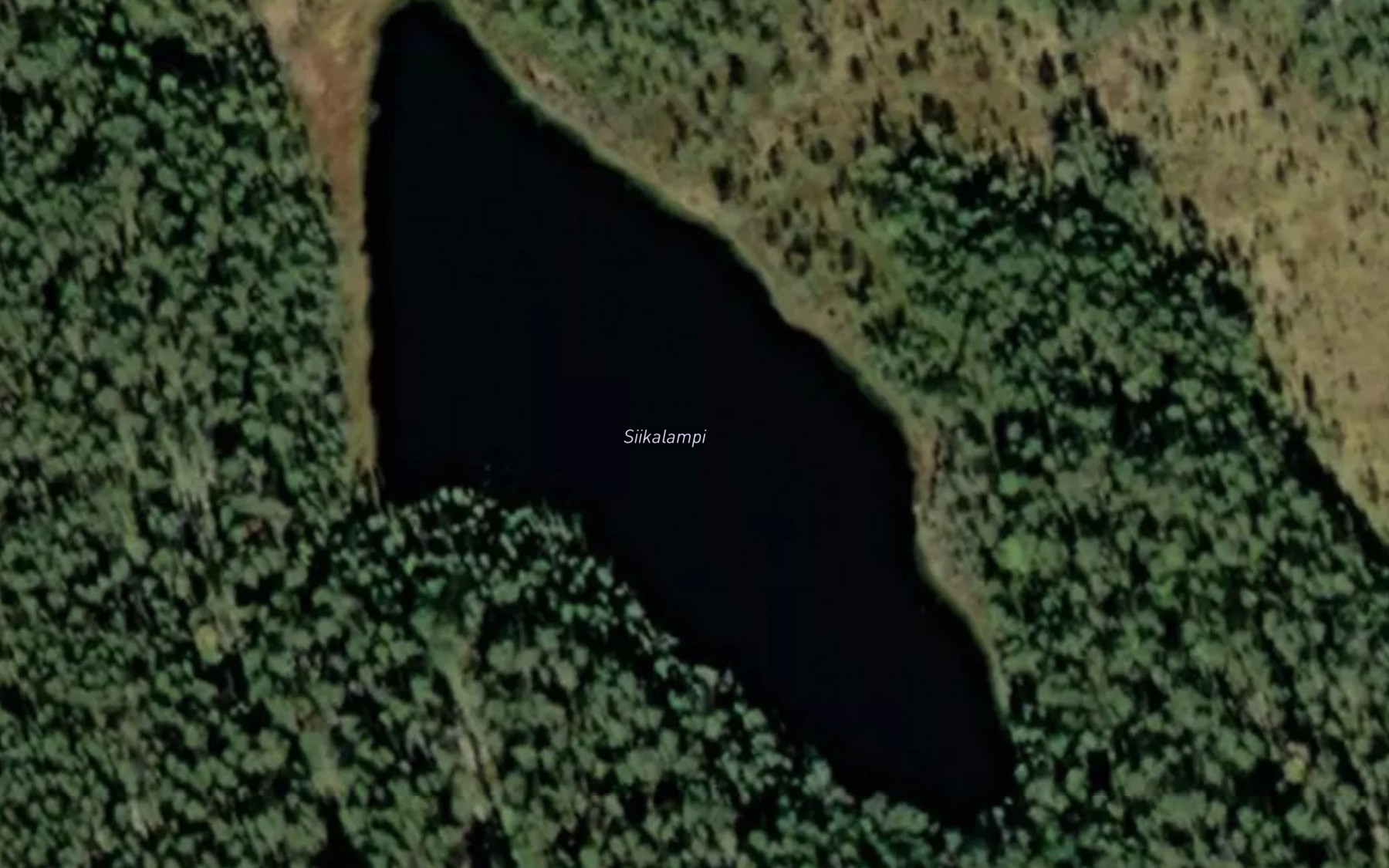 Satellite map of the Siikalampi