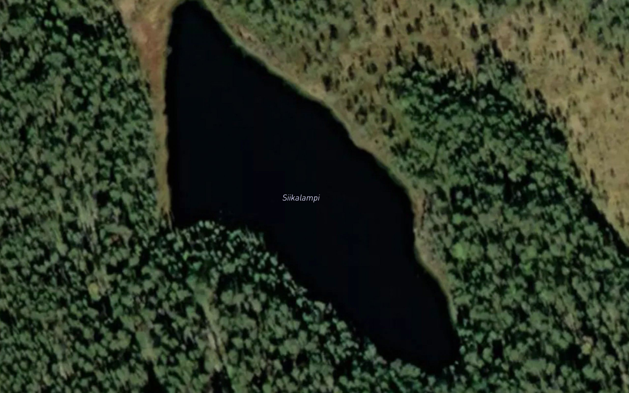 Siikalampi