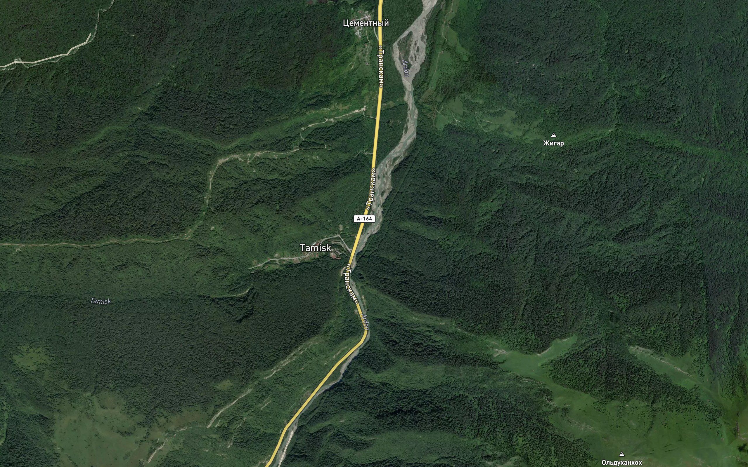 Tamiskdon