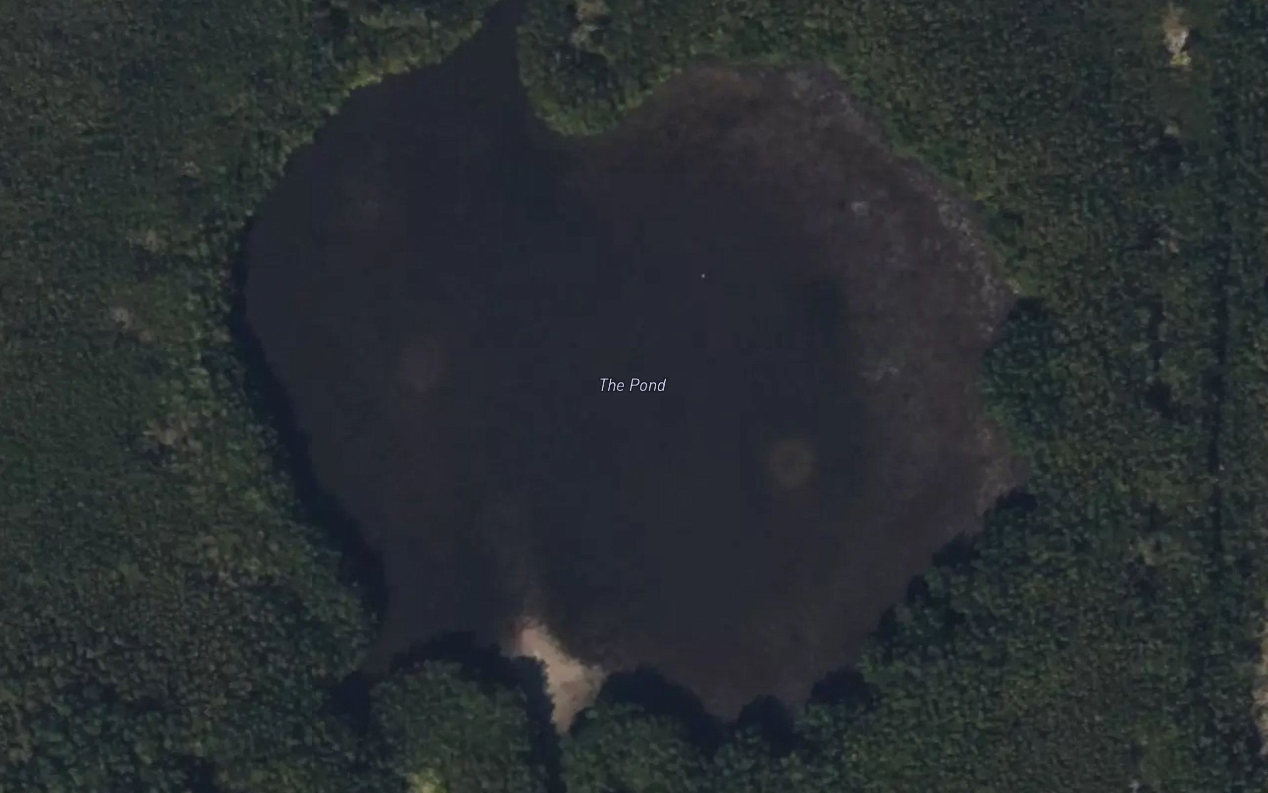 The Pond