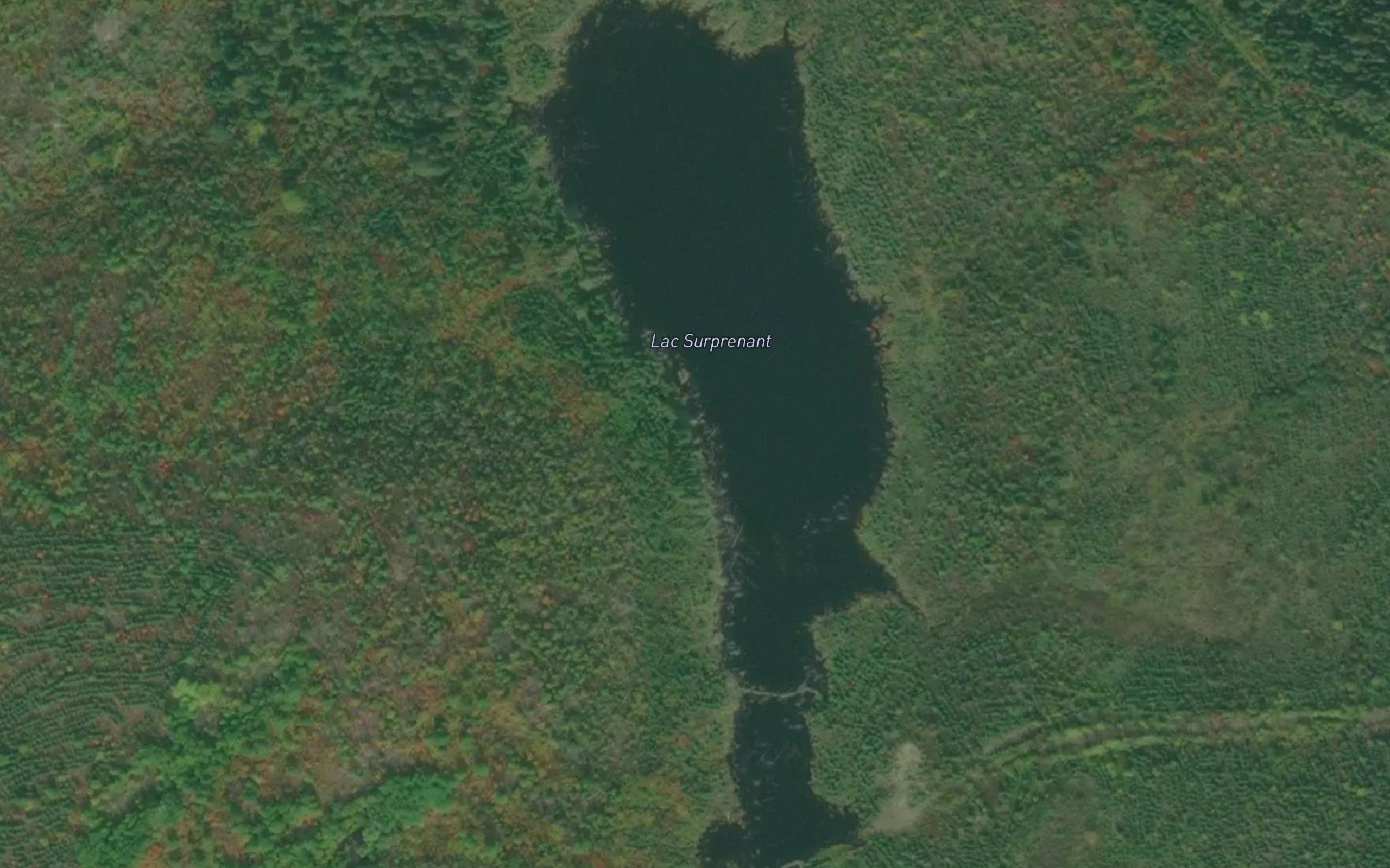 Lac Surprenant