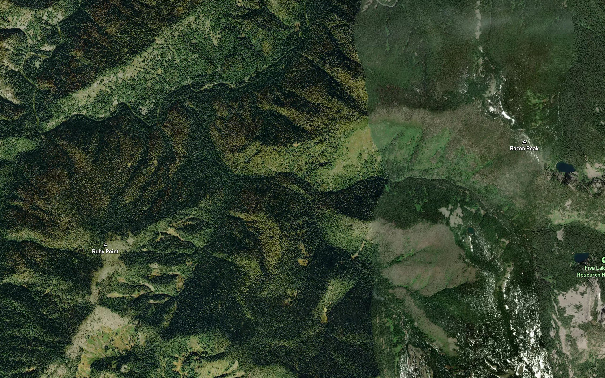 Basin Creek