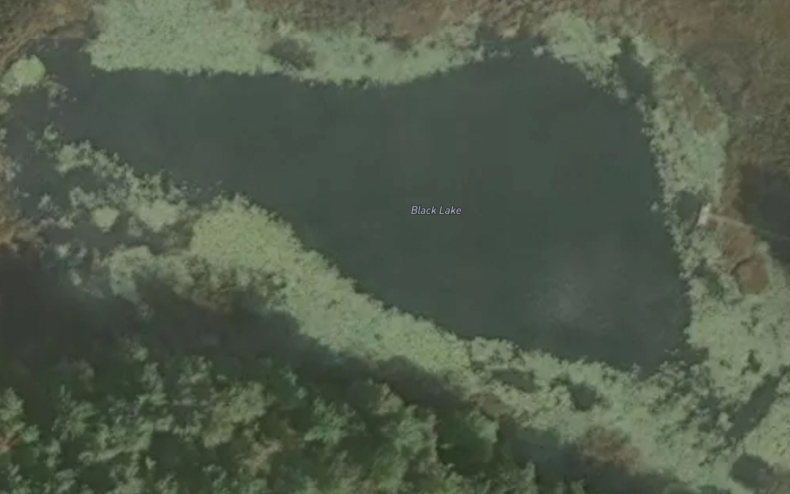 Black Lake