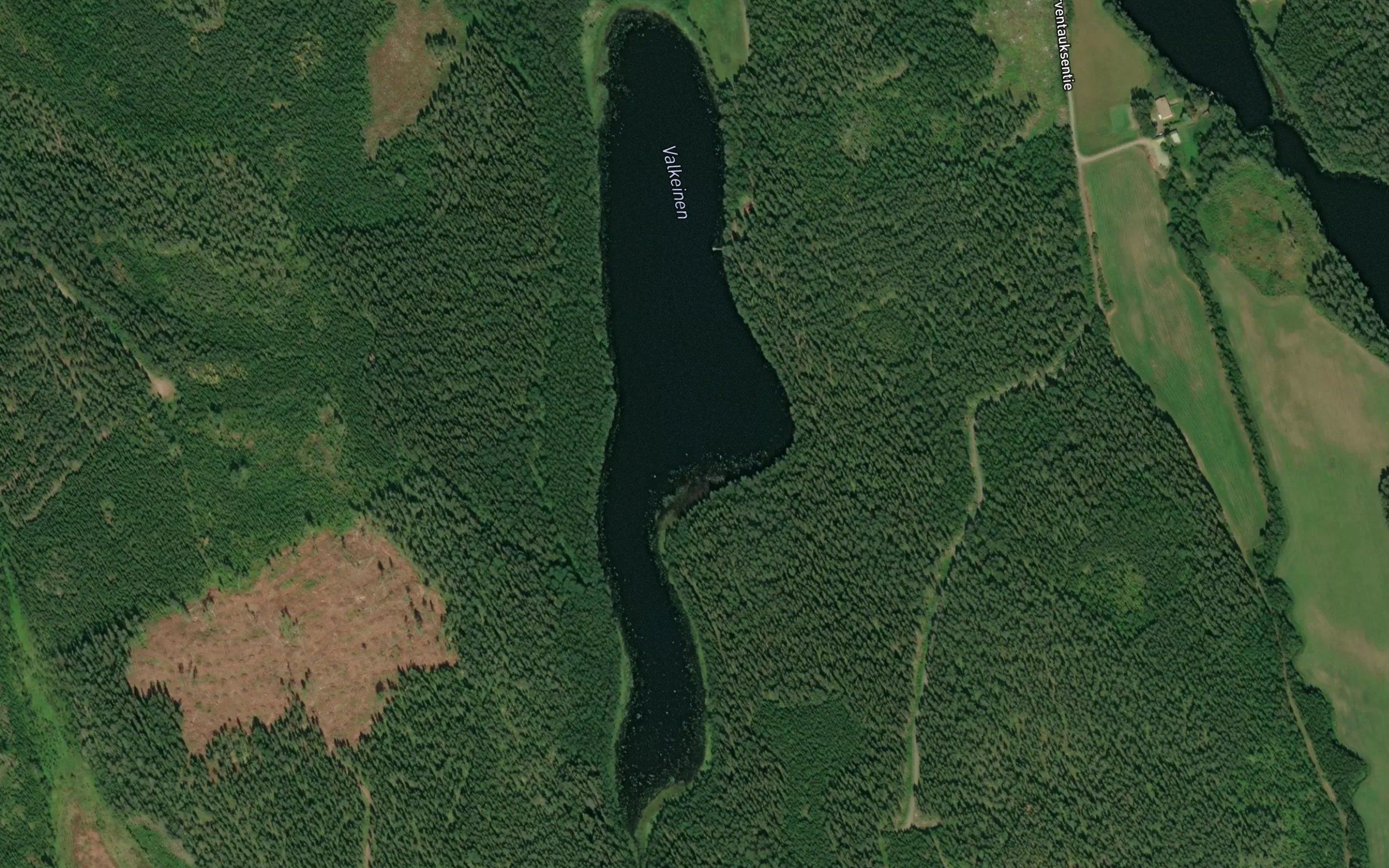 Valkeinen