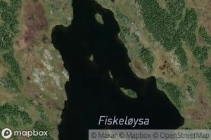 Fiskjeloyse