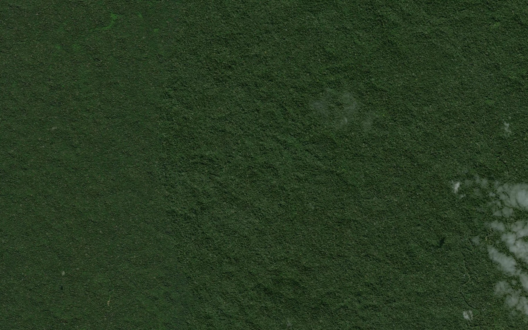 Satellite map of the Yuyapique
