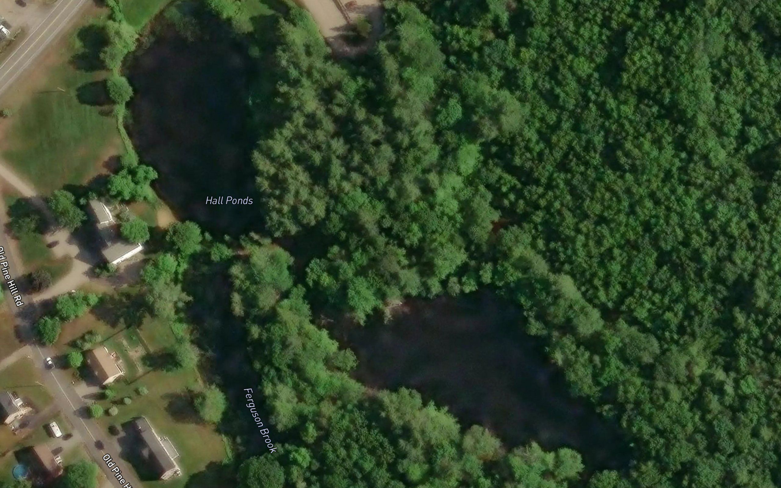 Hall Ponds