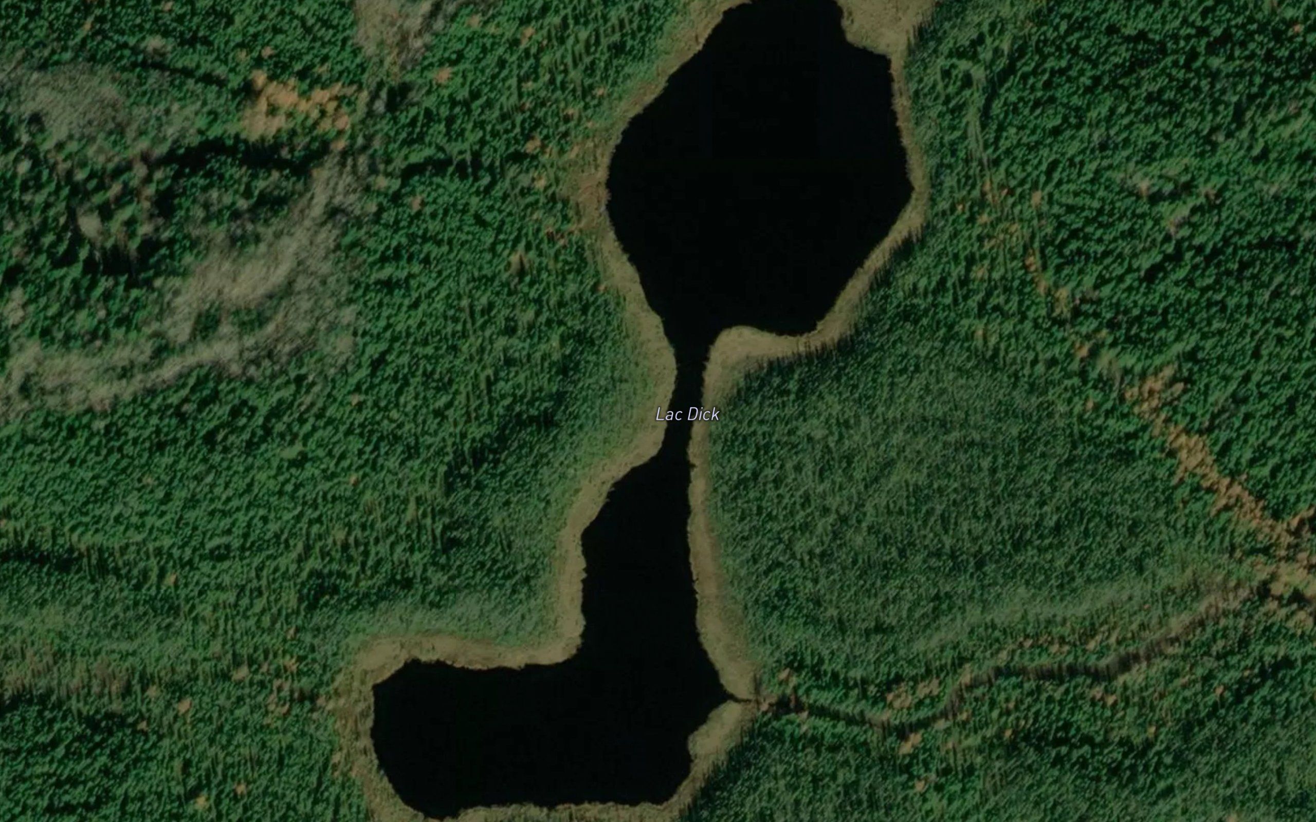Lac Dick