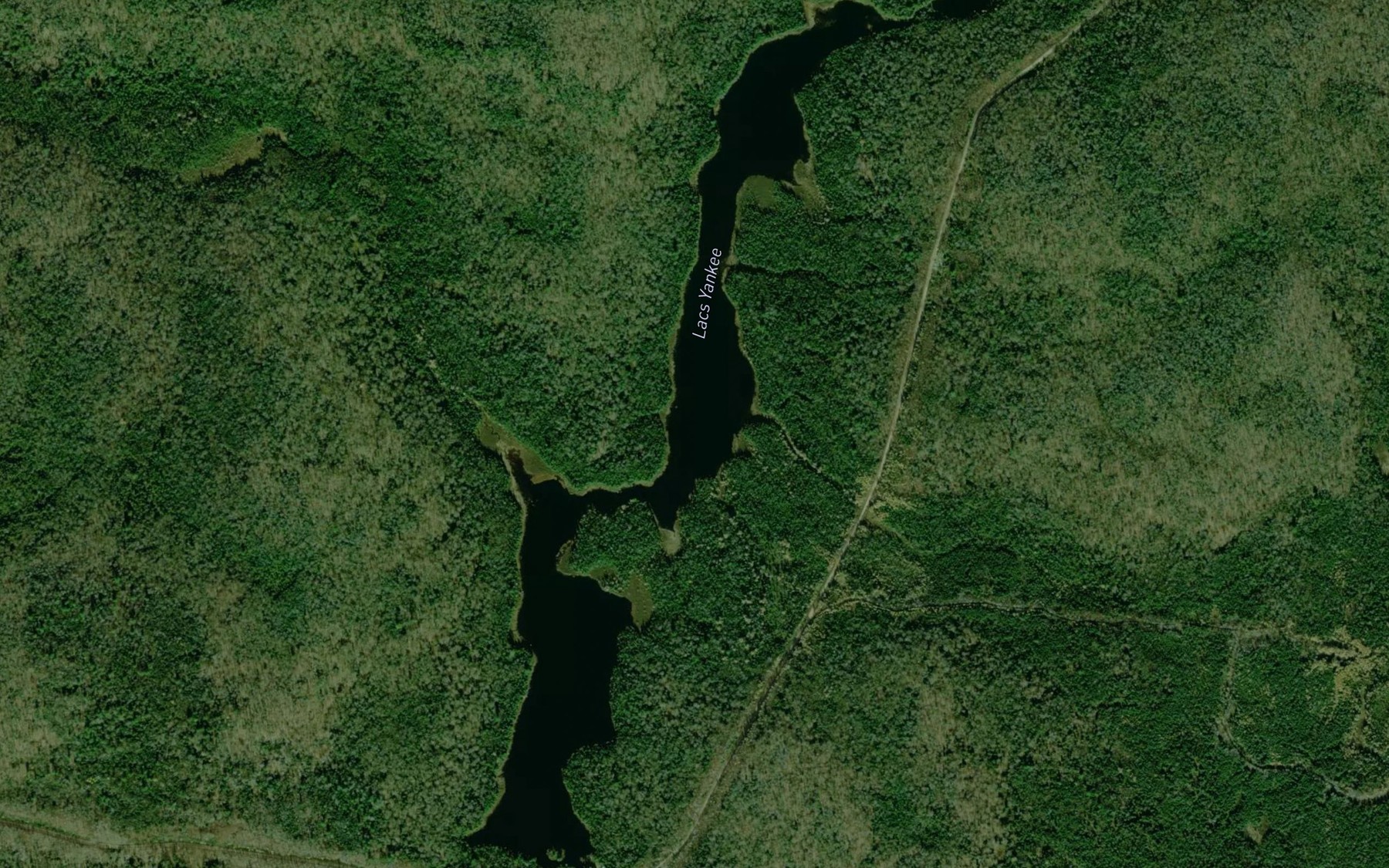 Satellite map of the Lacs Yankee