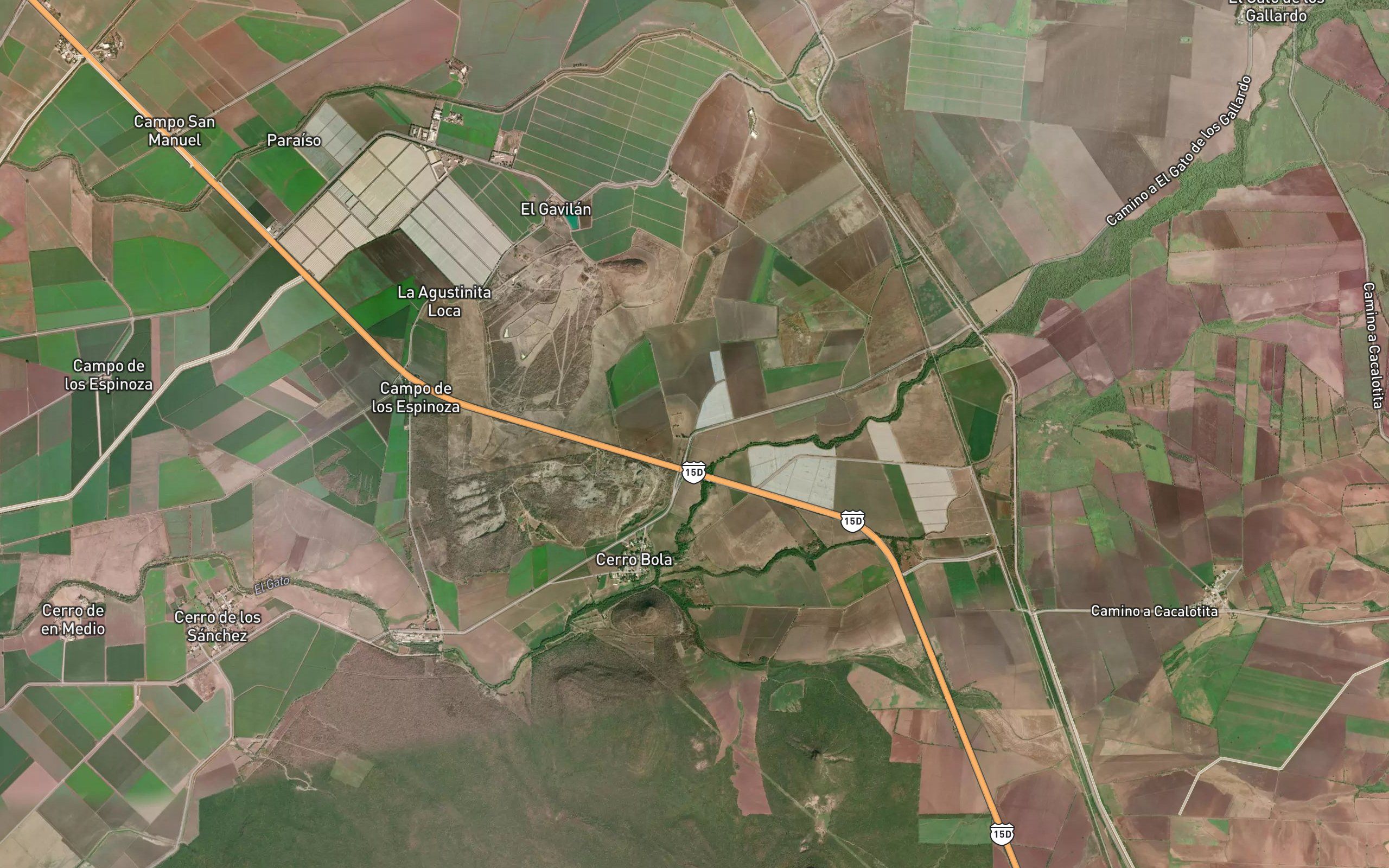 Acatita