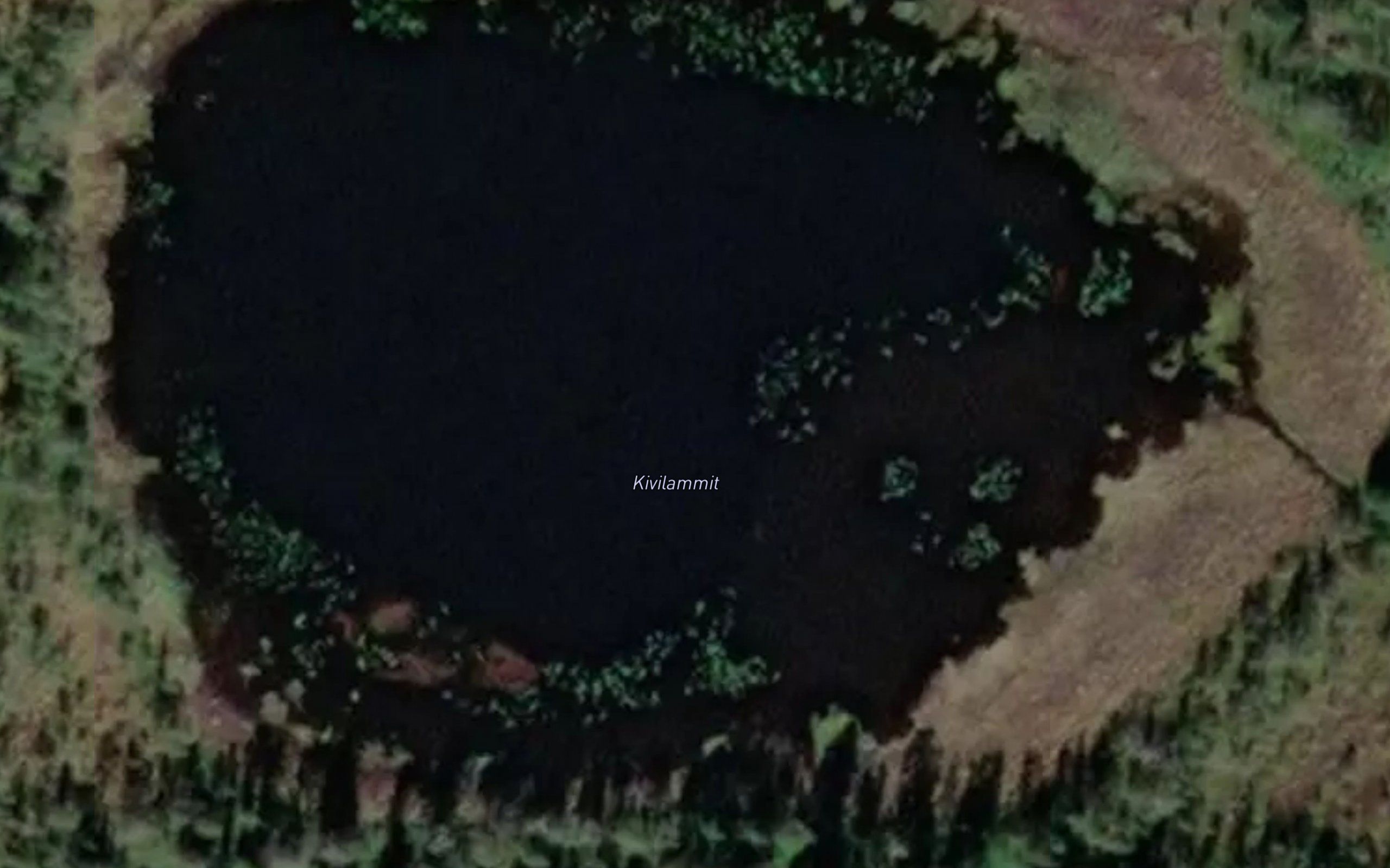 Kivilammit