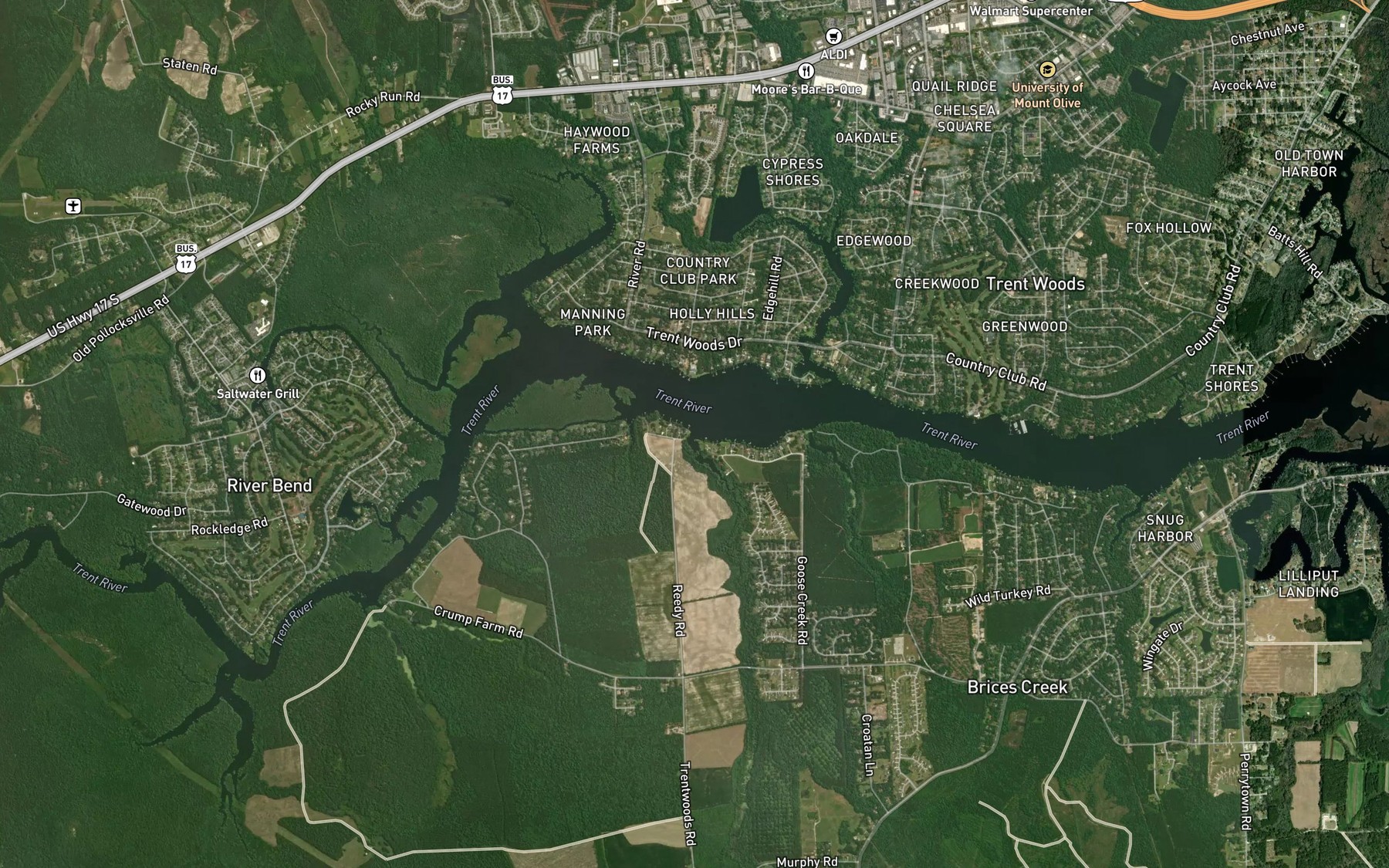 Satellite map of the Reedy Branch