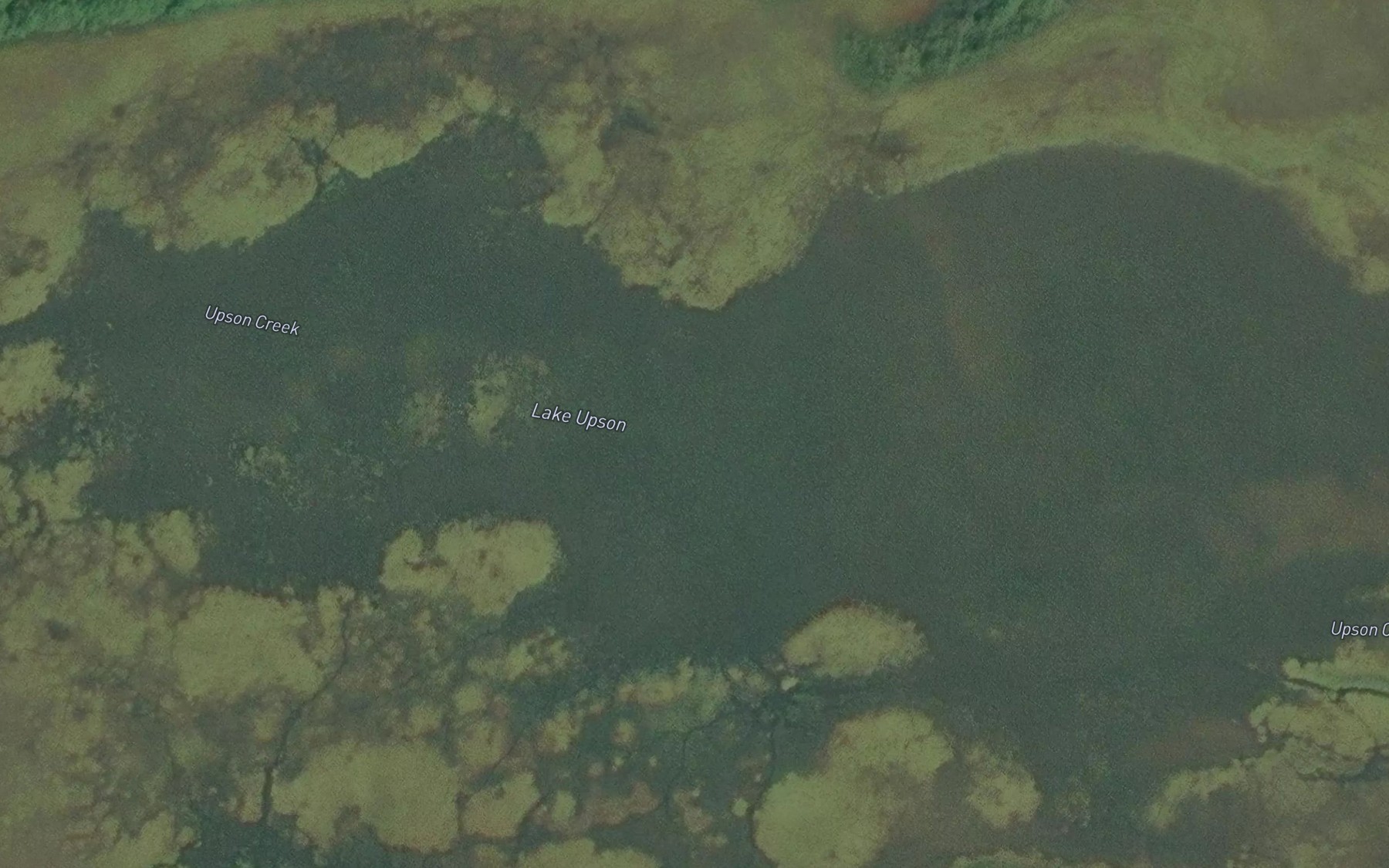 Satellite map of the Lake Upson