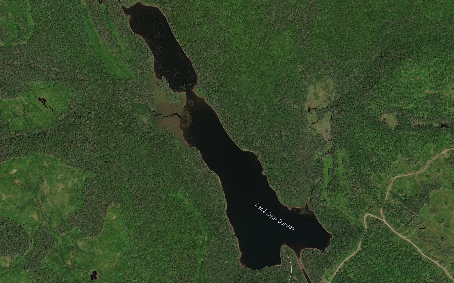 Satellite map of the Lac a Deux Queues