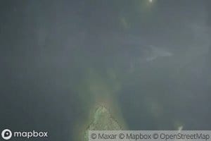 Lac Elephant