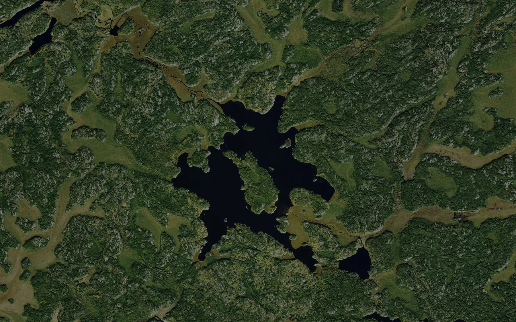 Satellite map of the O'Kelly Lake