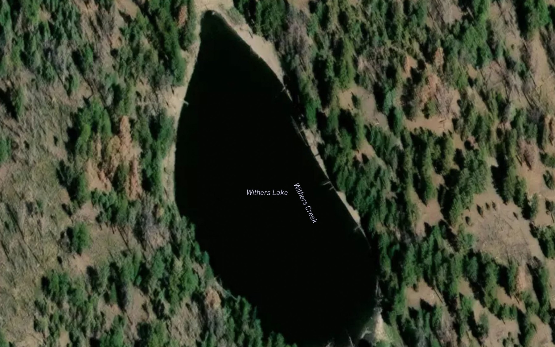 Satellite map of the Withers Lake