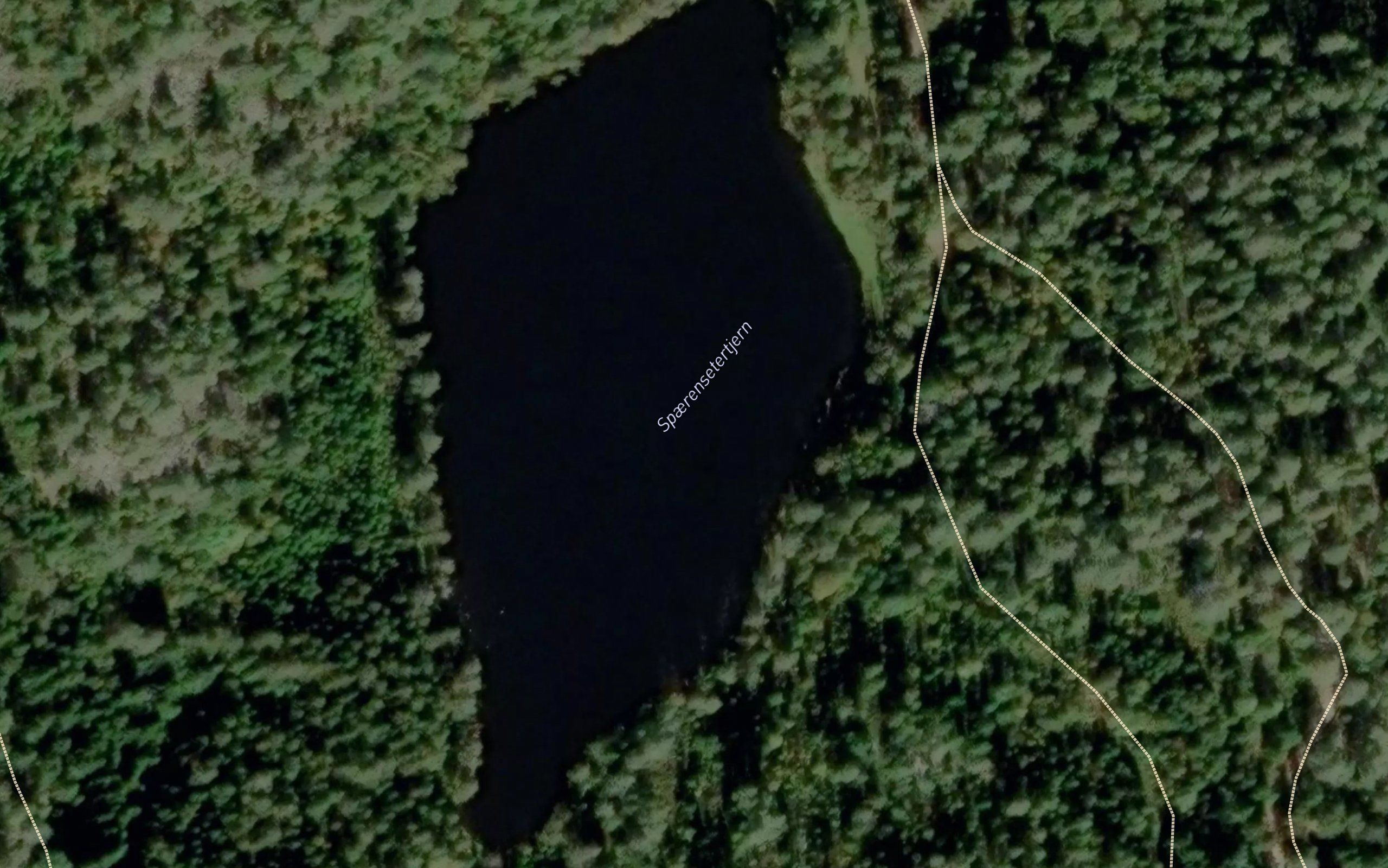 Spaerensetertjern