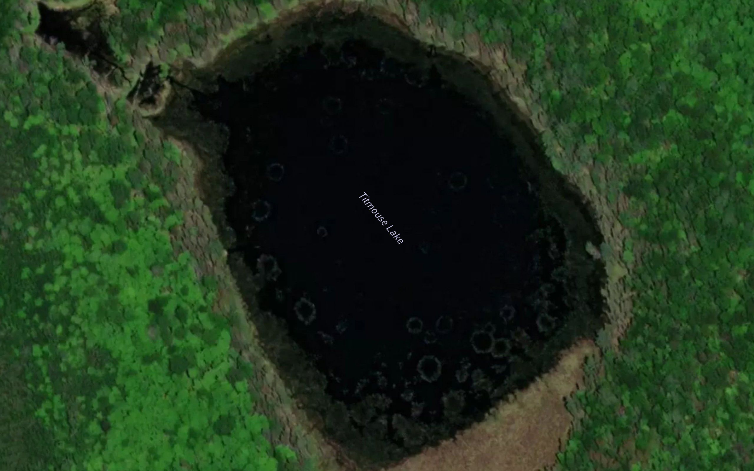 Titmouse Lake