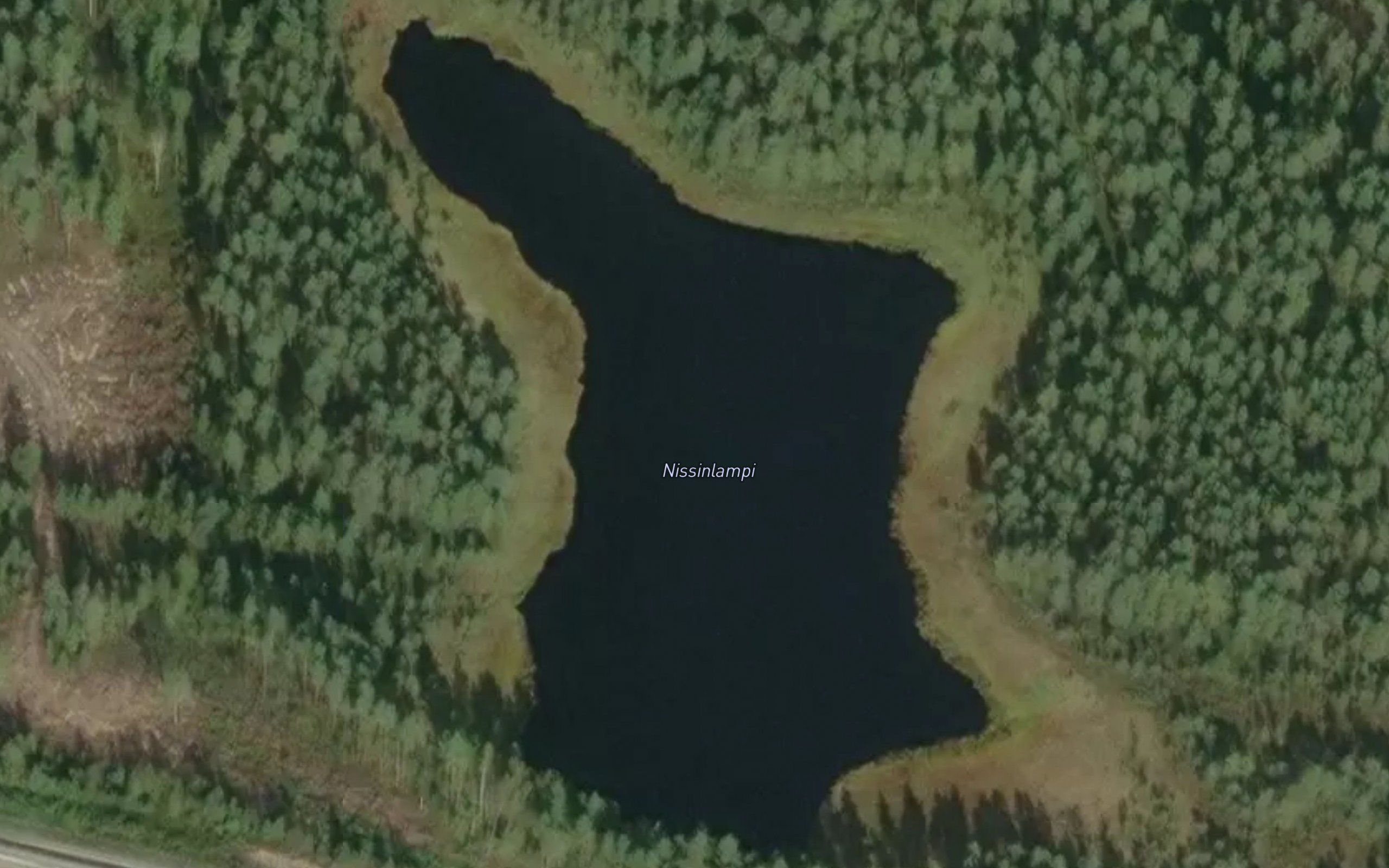 Nissinlampi