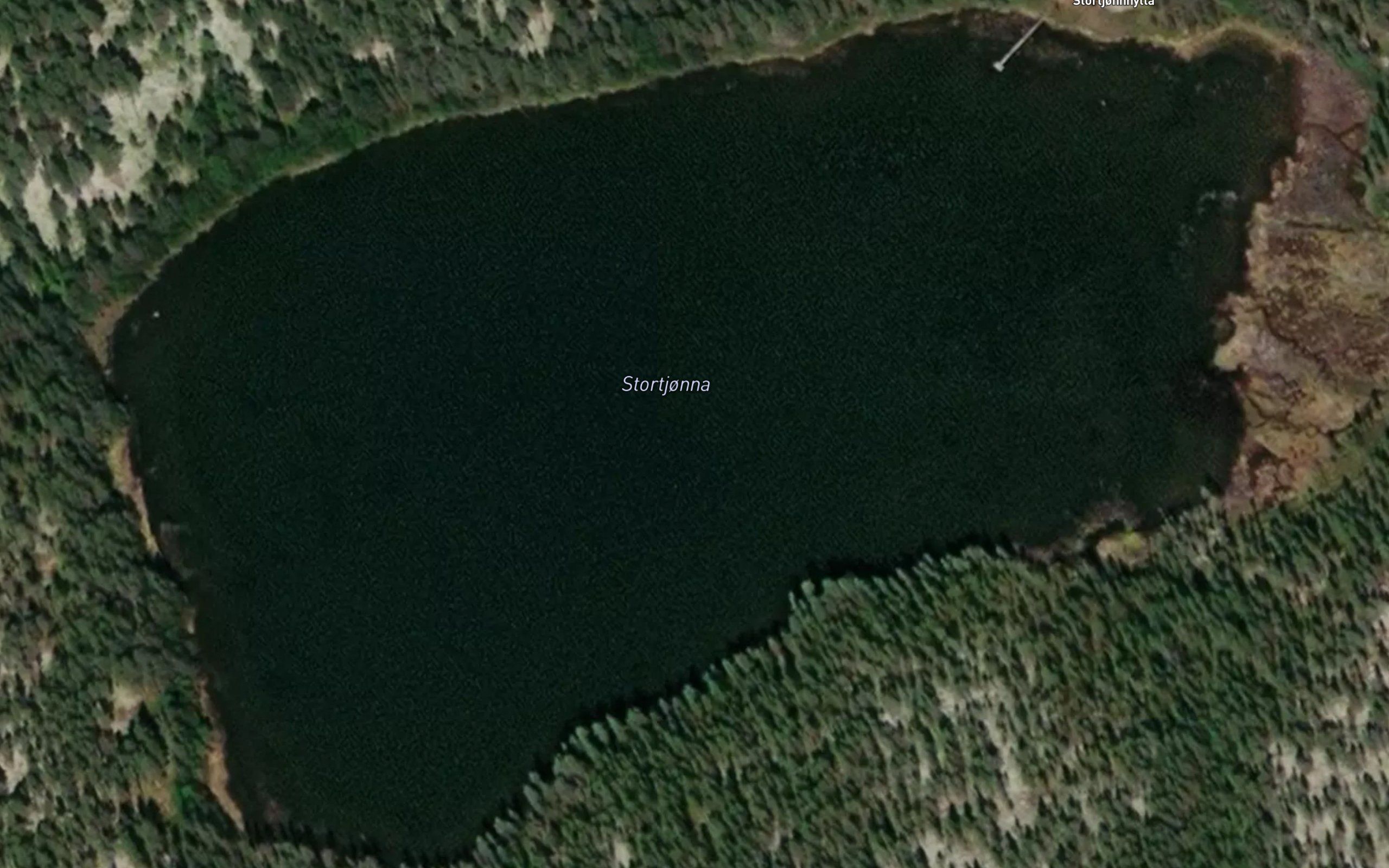 Stortjorna