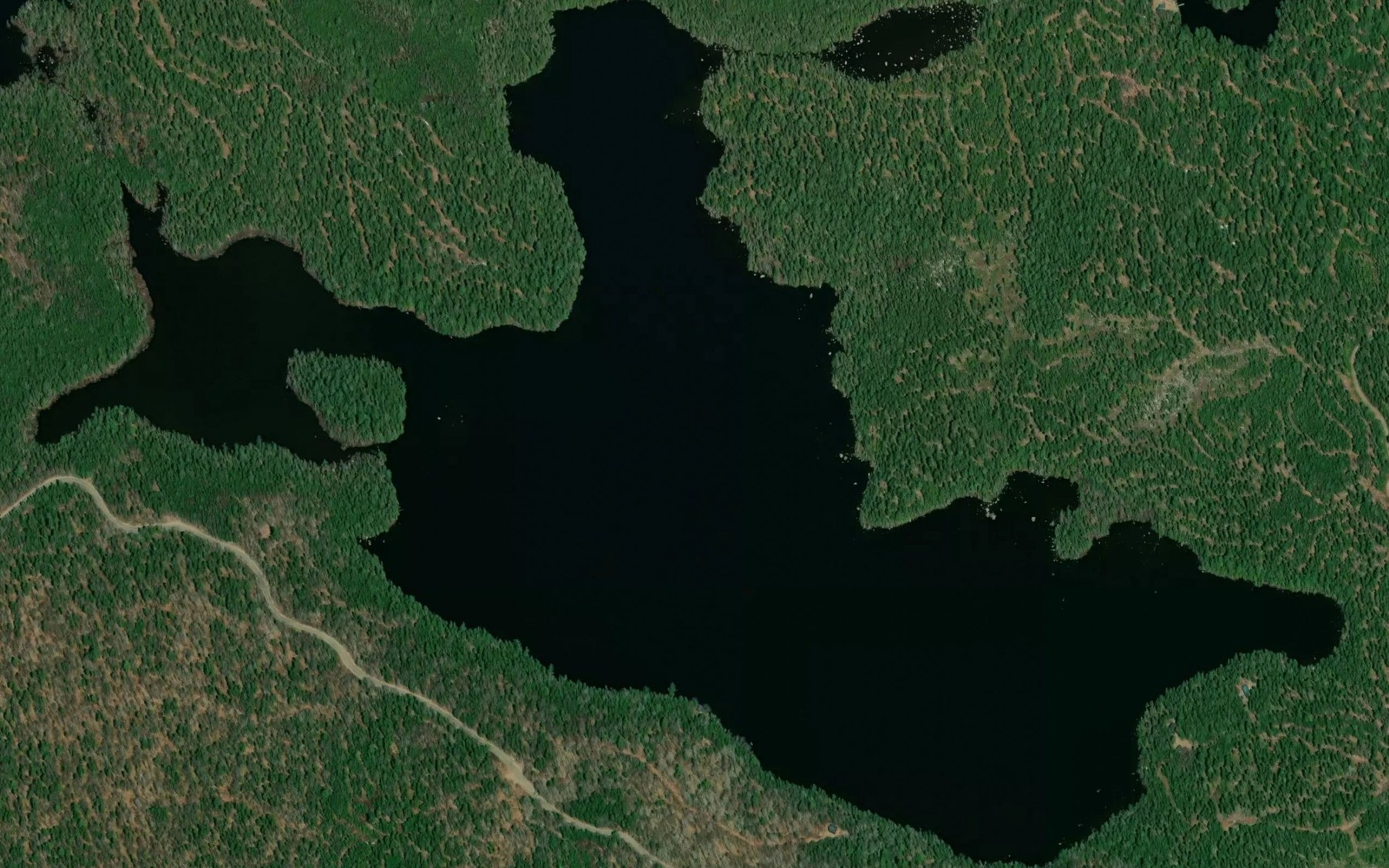 Satellite map of the Beaver Pond