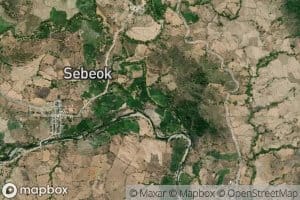 Kokar Sebeok