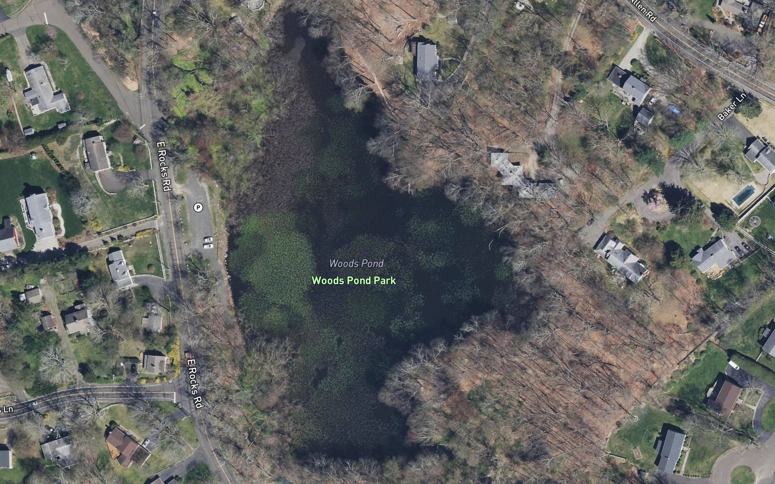 Woods Pond