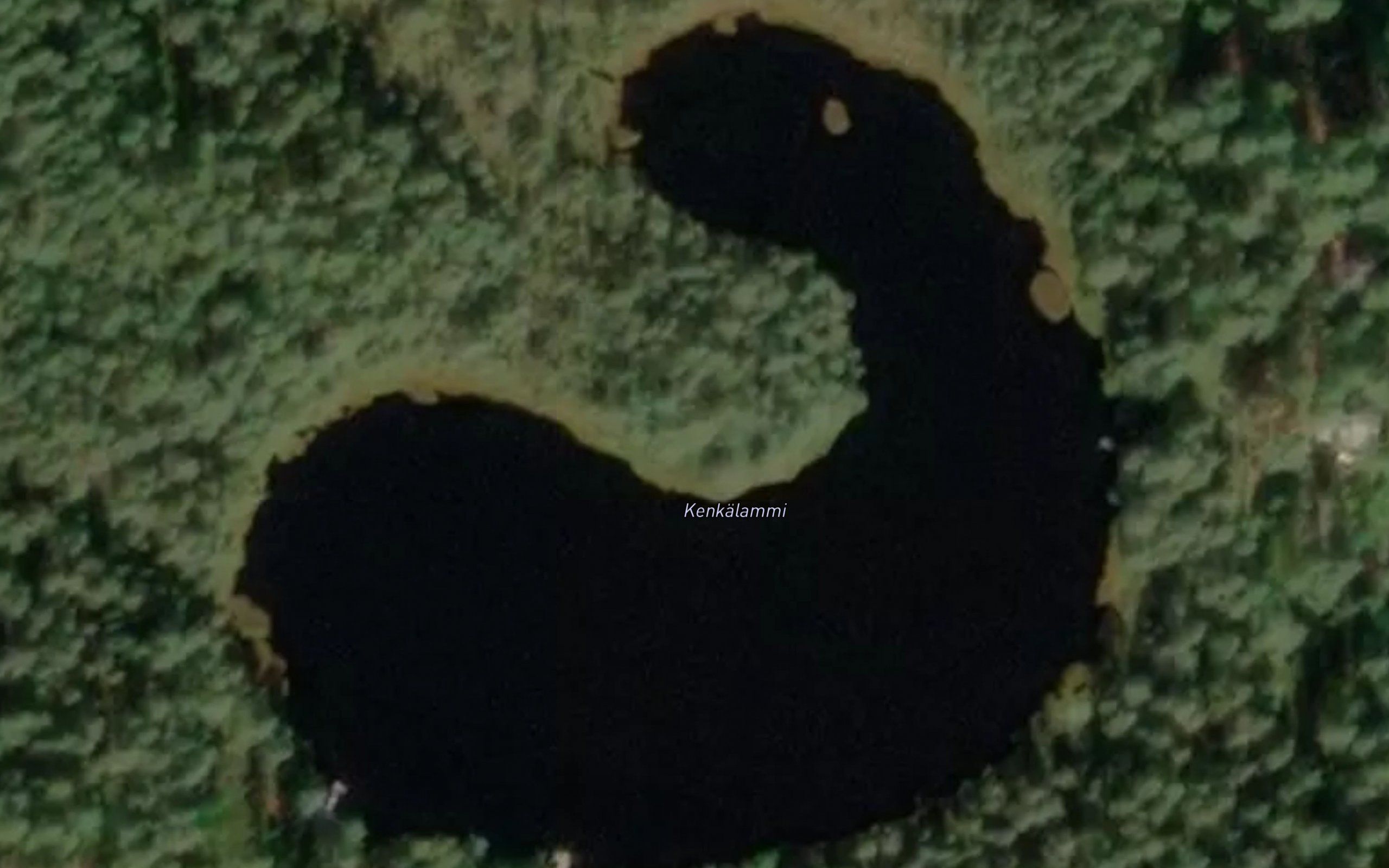 Kenkalammi